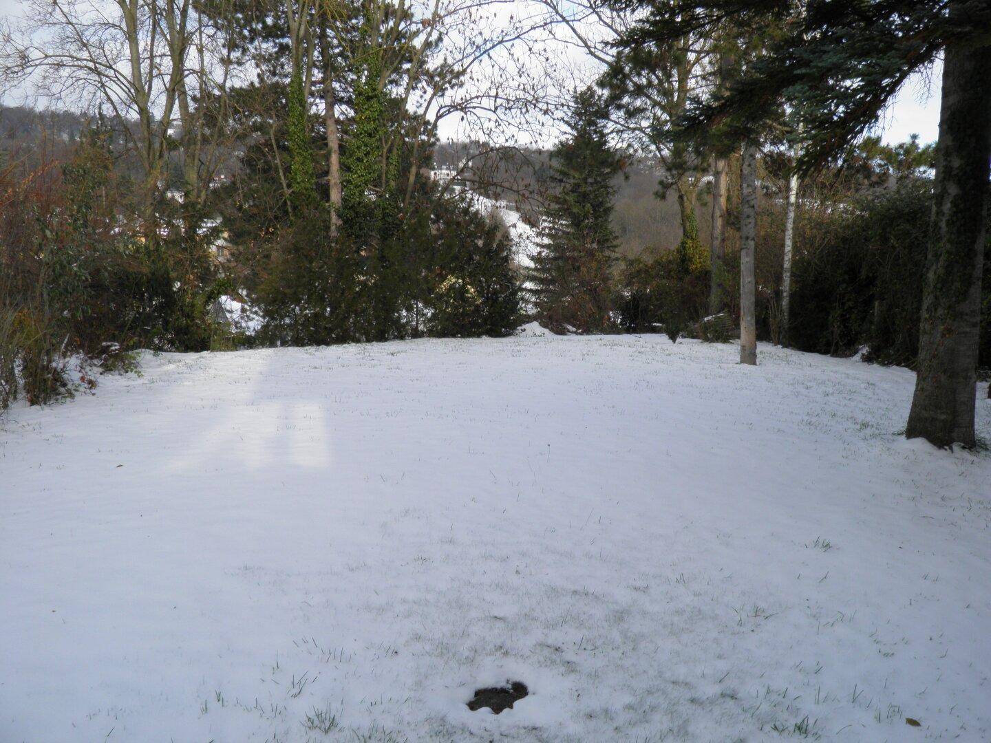 Weitläufiger Gartenbereich im Winter mit Schneedecke, umgeben von Bäumen und Sträuchern.