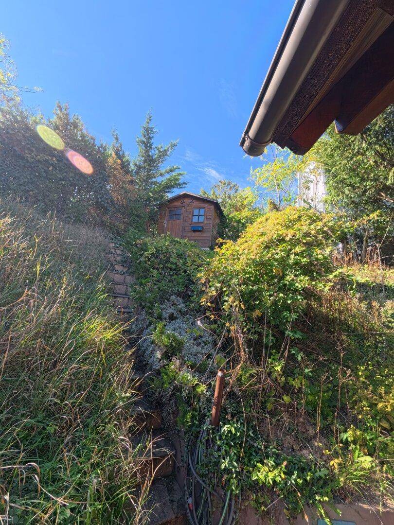 Blick auf den steilen, bewachsenen Hang hinter dem Haus mit einem kleinen Holzschuppen oben.