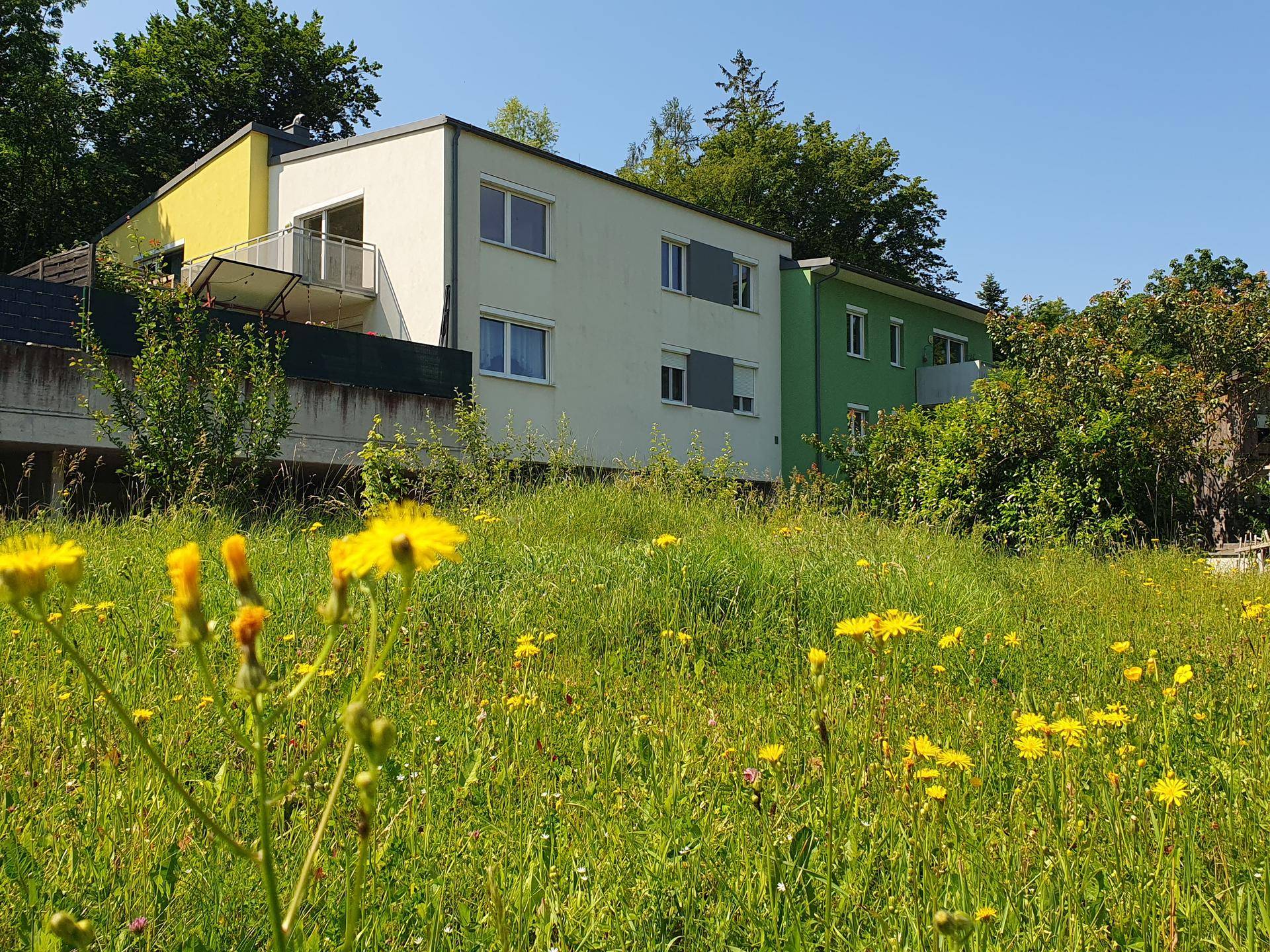 Mehrstöckiges Gebäude mit farbiger Fassade, umgeben von einer grünen Wiese mit Blumen.