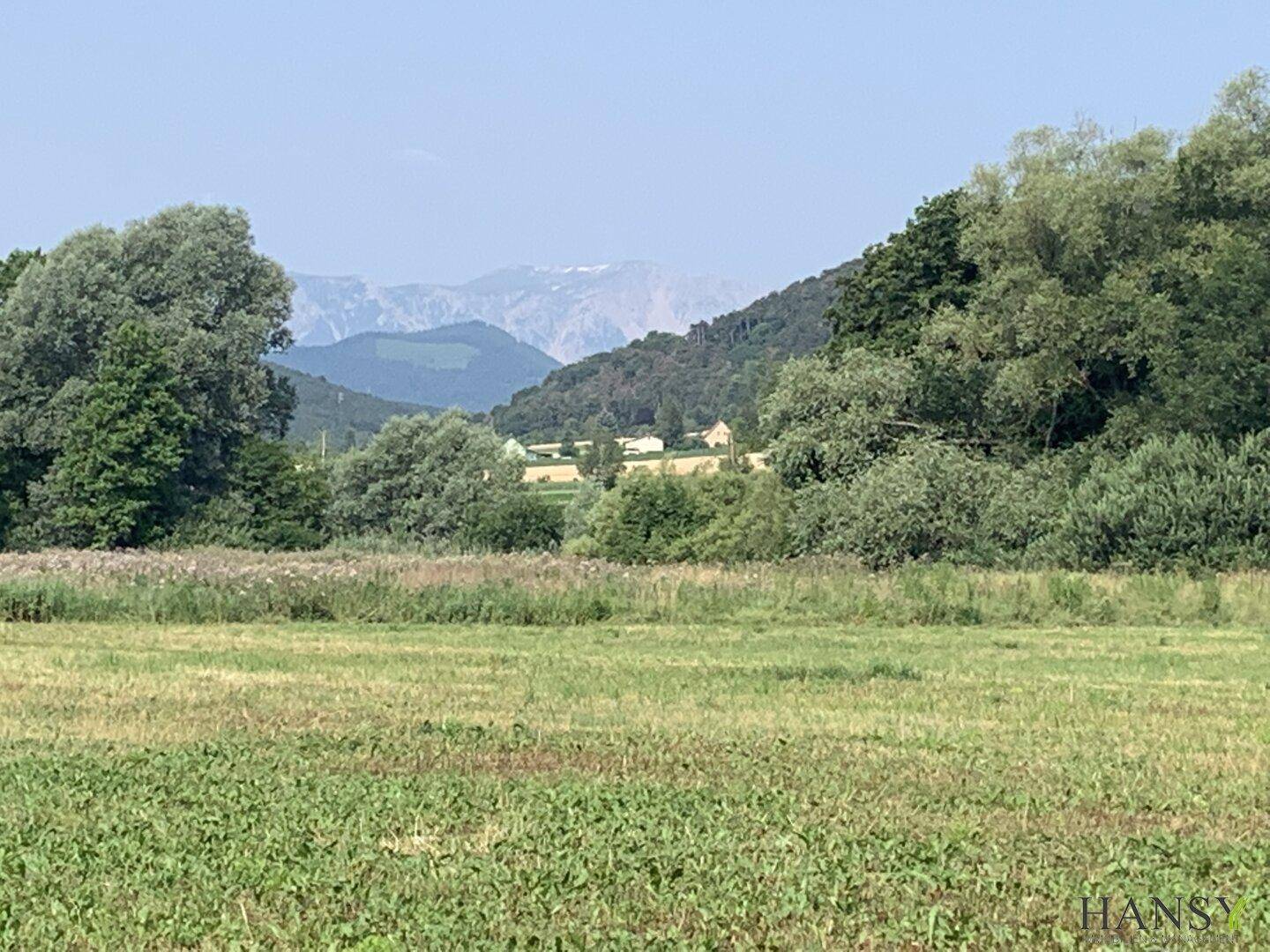 Weitläufige grüne Felder mit Bäumen im Vordergrund und einer Bergkette am Horizont unter klarem Himmel.