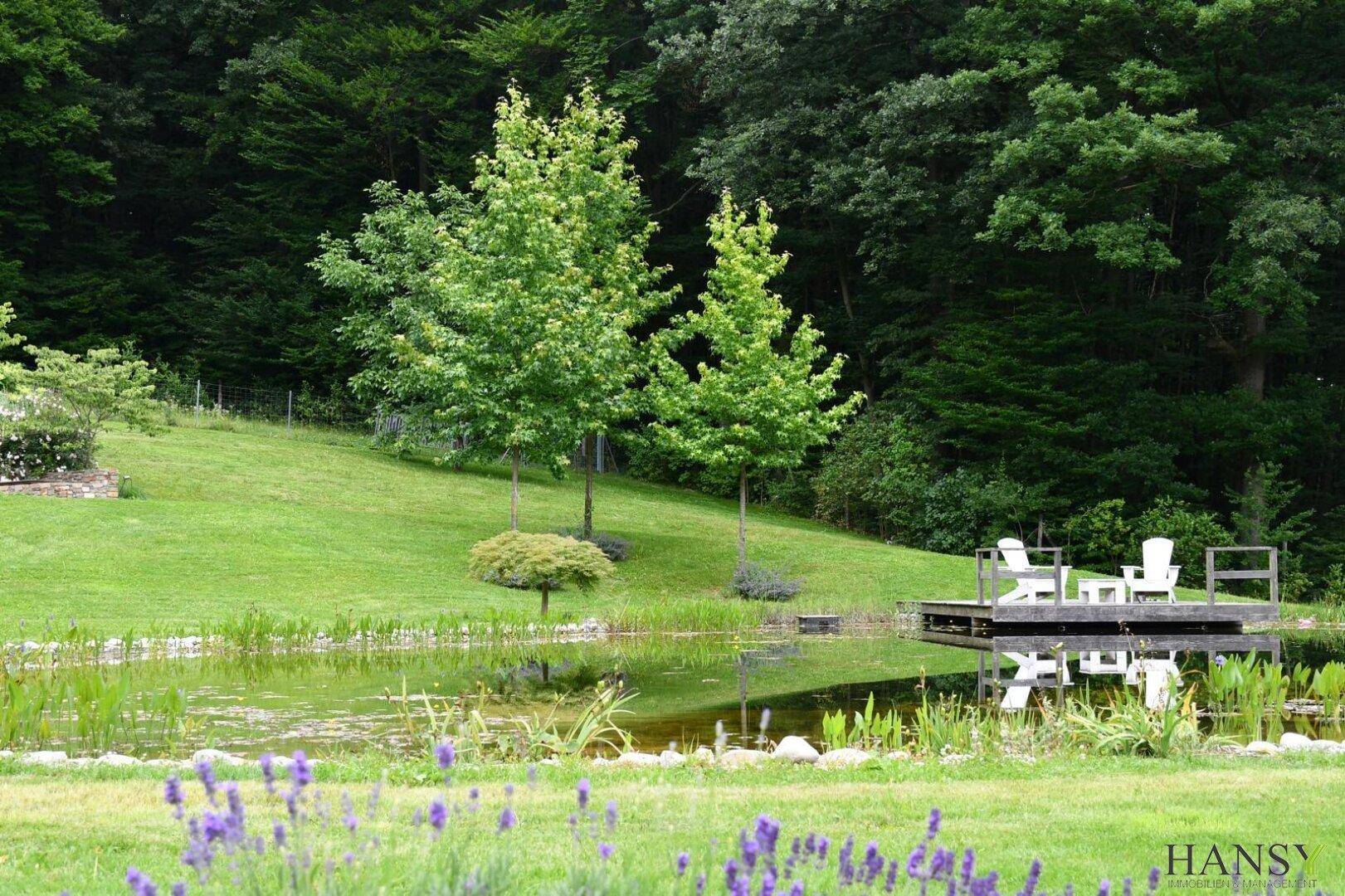 Ruhiger Teich mit Holzsteg und Sitzgelegenheiten, umgeben von grüner Natur.