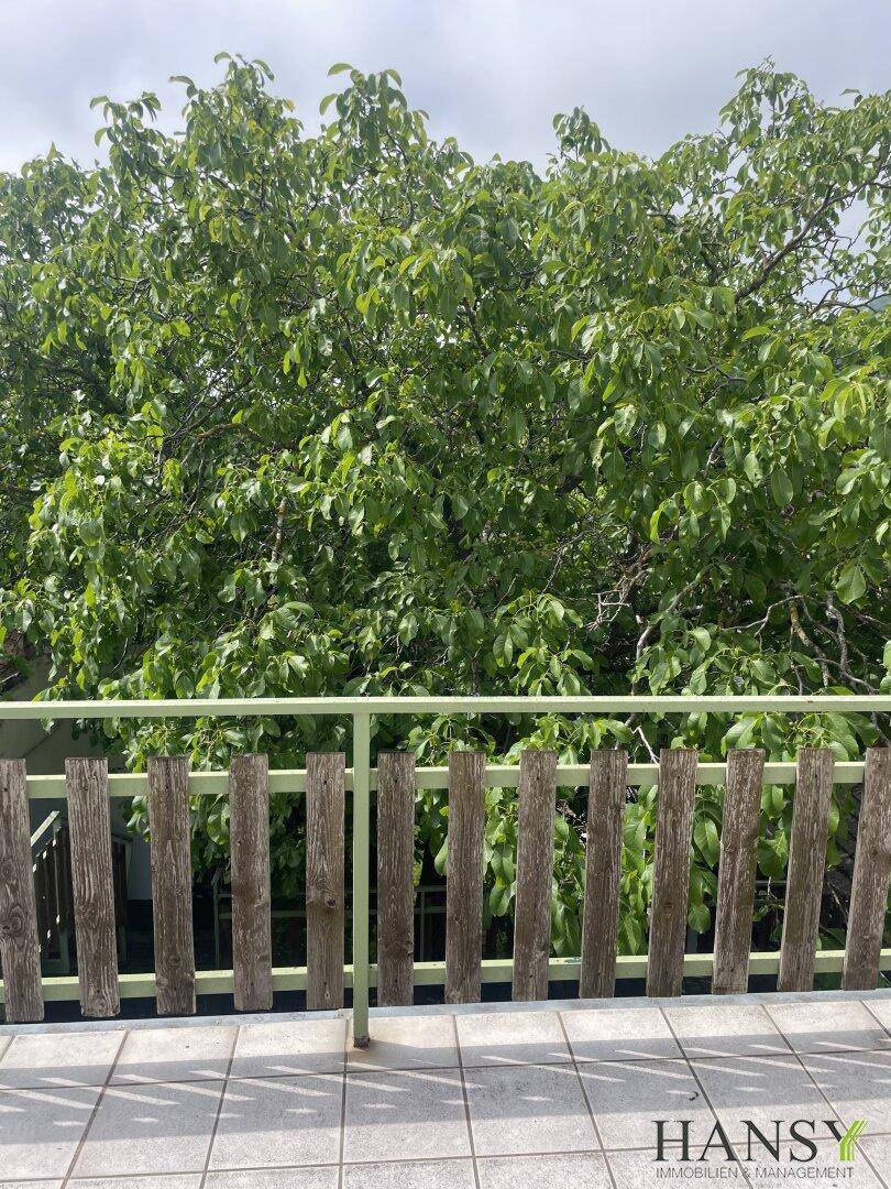 Blick von einem Balkon mit Fliesenboden und schlichtem Geländer auf einen großen Laubbaum.
