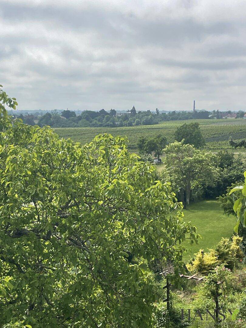 Weitläufiger Blick über Weinberge und grüne Landschaft unter bewölktem Himmel.