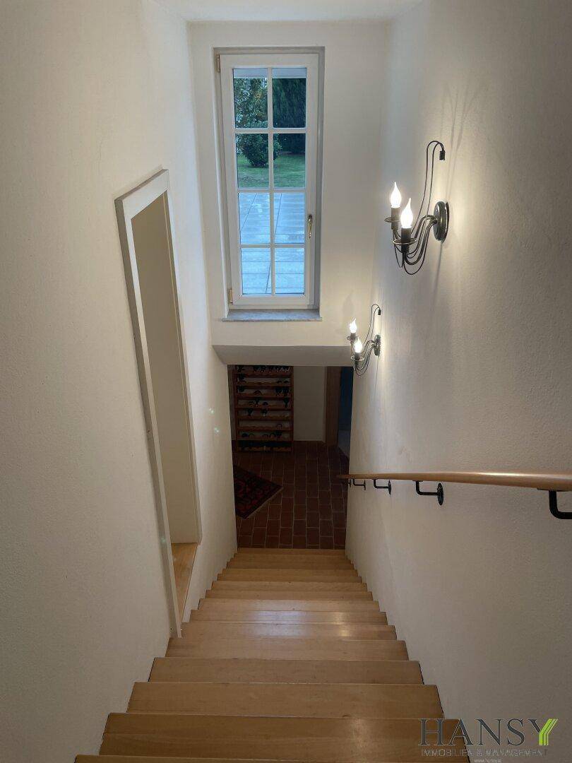Holztreppe führt nach unten, beleuchtet durch ein hohes Fenster mit Blick ins Grüne.