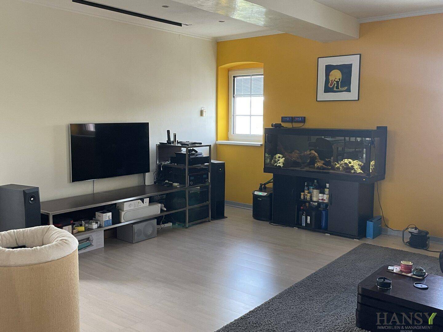 Wohnbereich mit großem Fernseher, Aquarium und gelb gestrichener Wand.