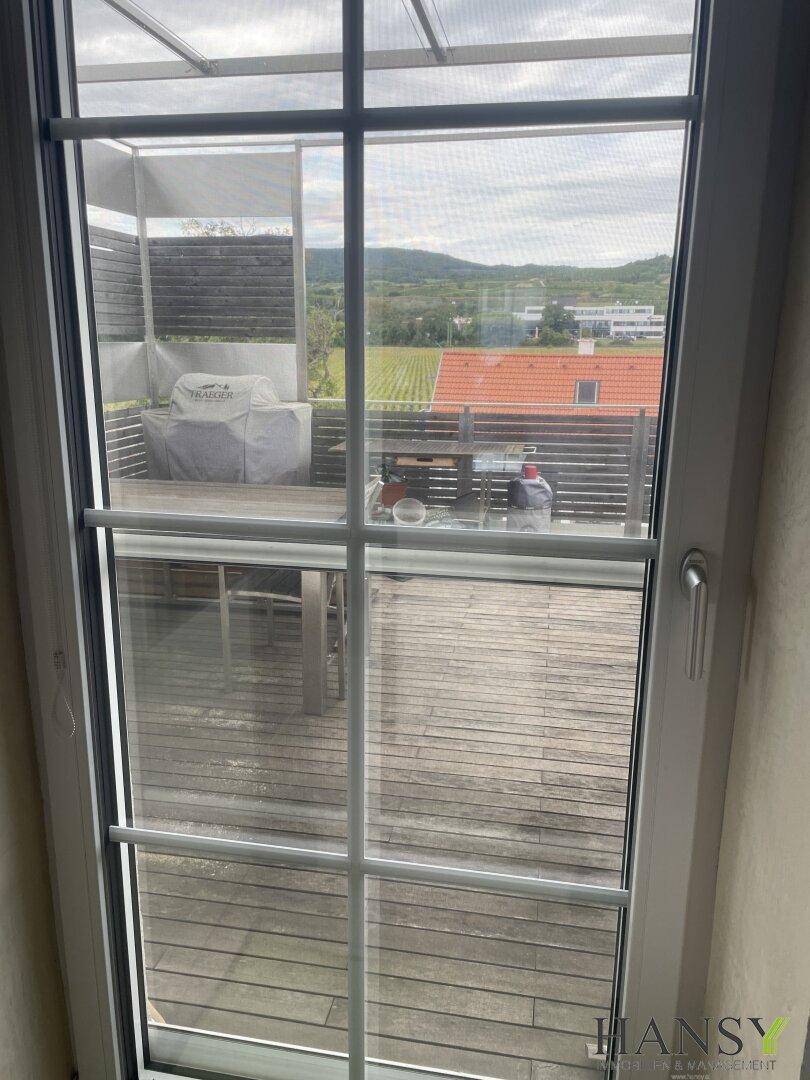 Blick durch das Fenster auf die große Holzterrasse mit Grillbereich und Landschaft.