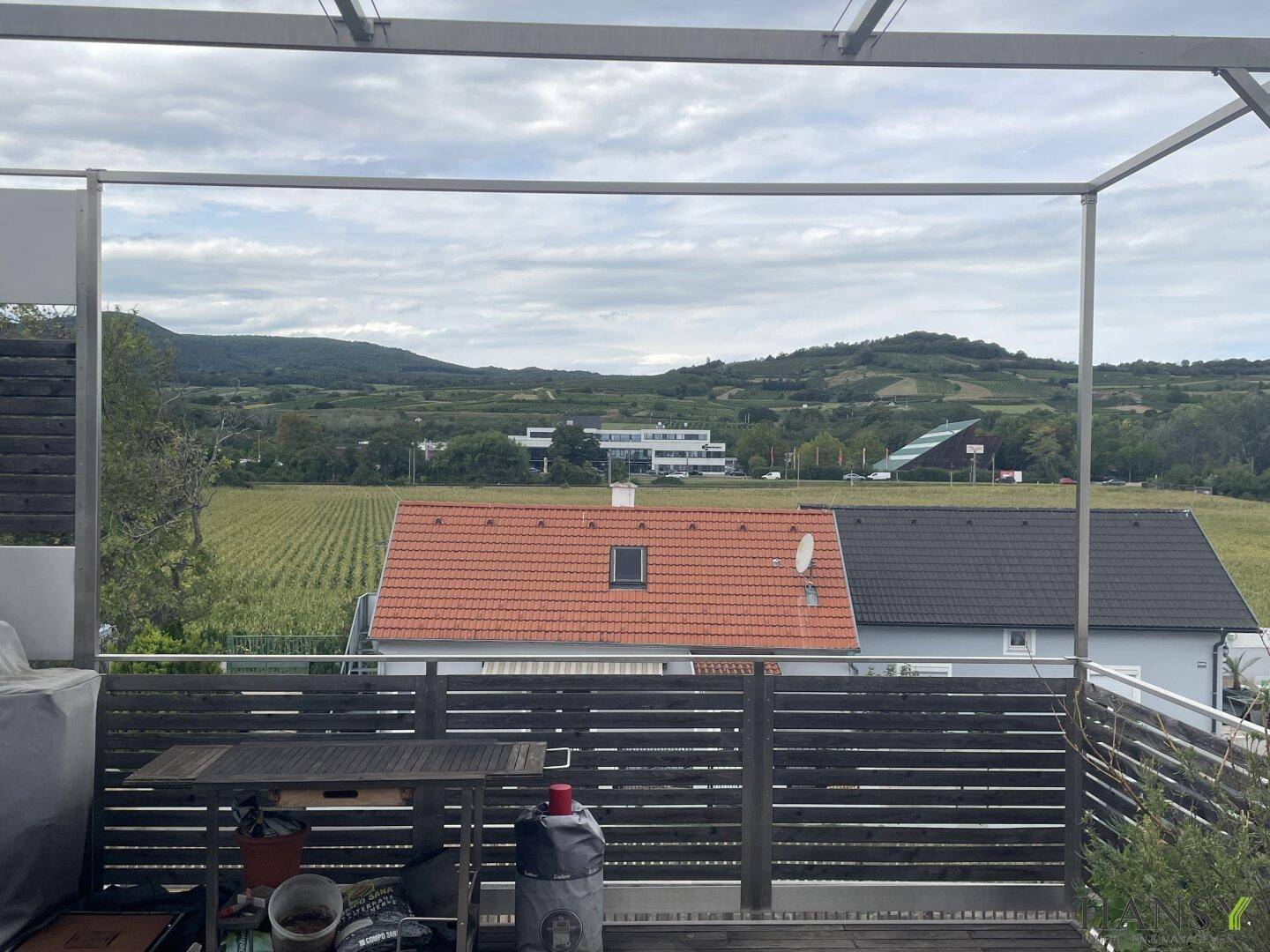 Große Terrasse mit Panoramablick auf Weinberge und die umliegende Natur.