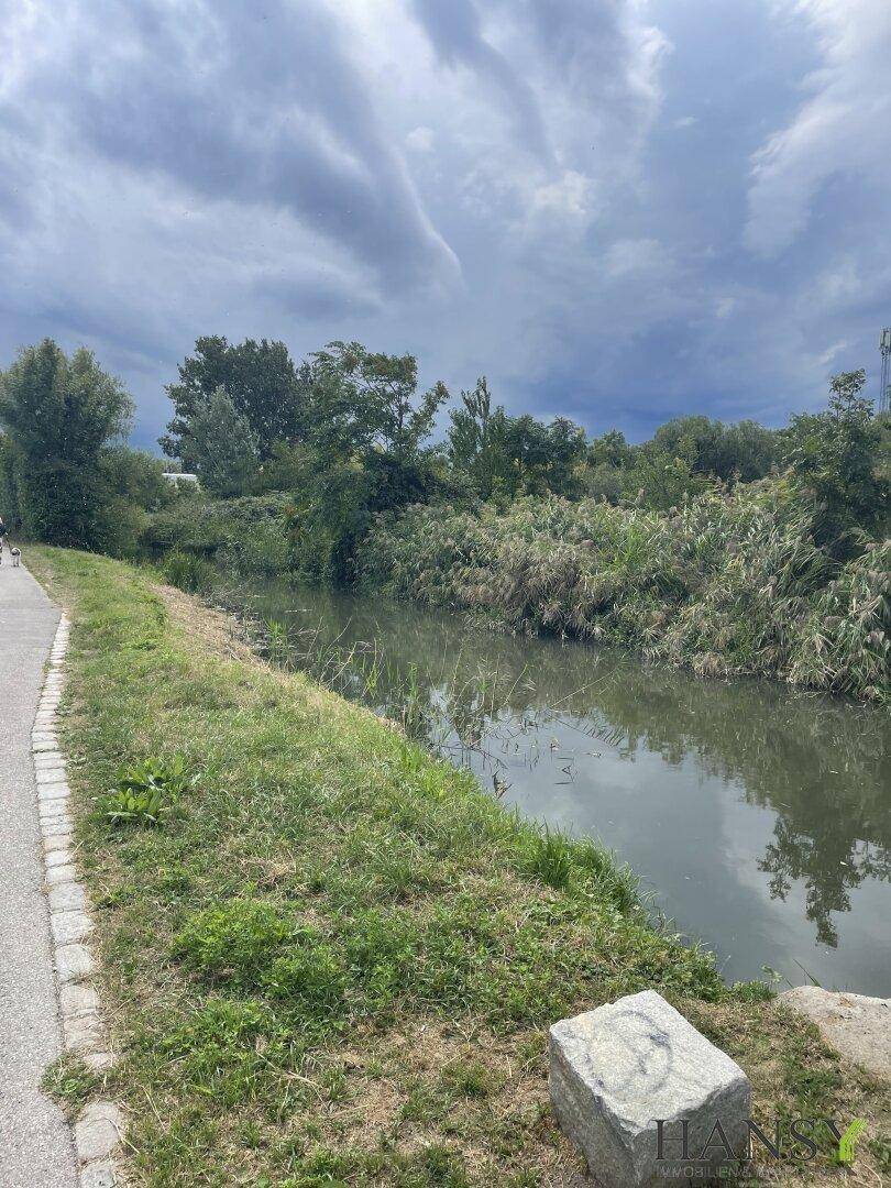 Malerischer Kanal mit üppiger Vegetation und Spazierweg an einem bewölkten Tag.