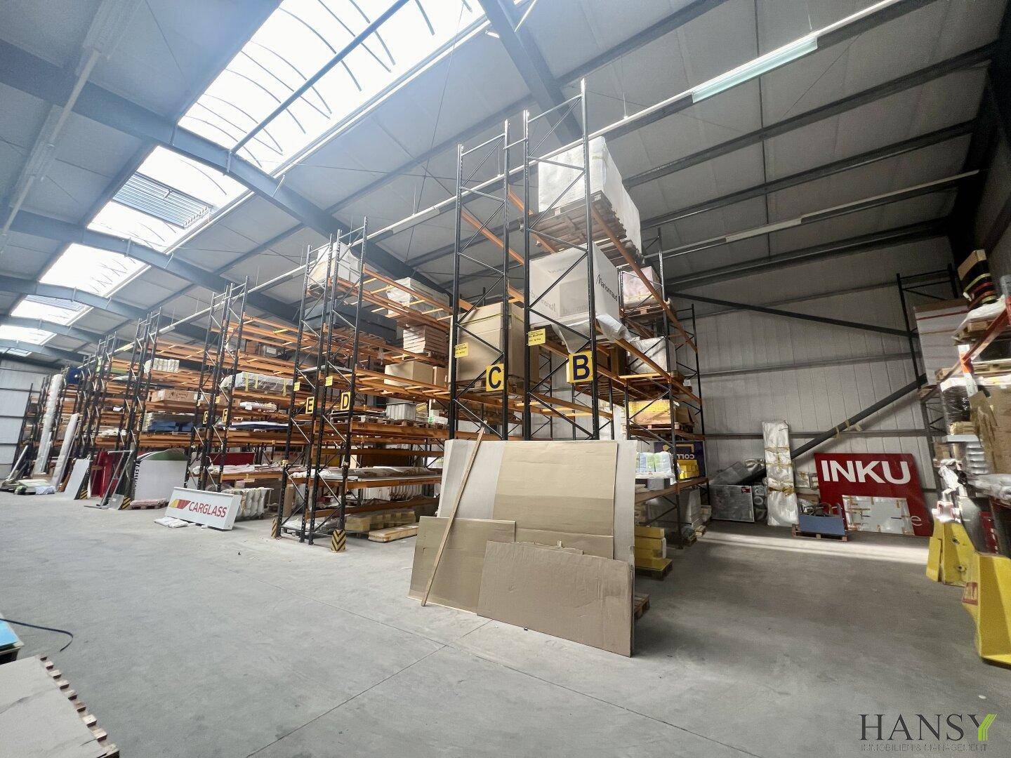 Weitläufige Lagerhalle mit hohen Regalsystemen, Oberlichtern und industriellem Betonboden, gut beleuchtet.