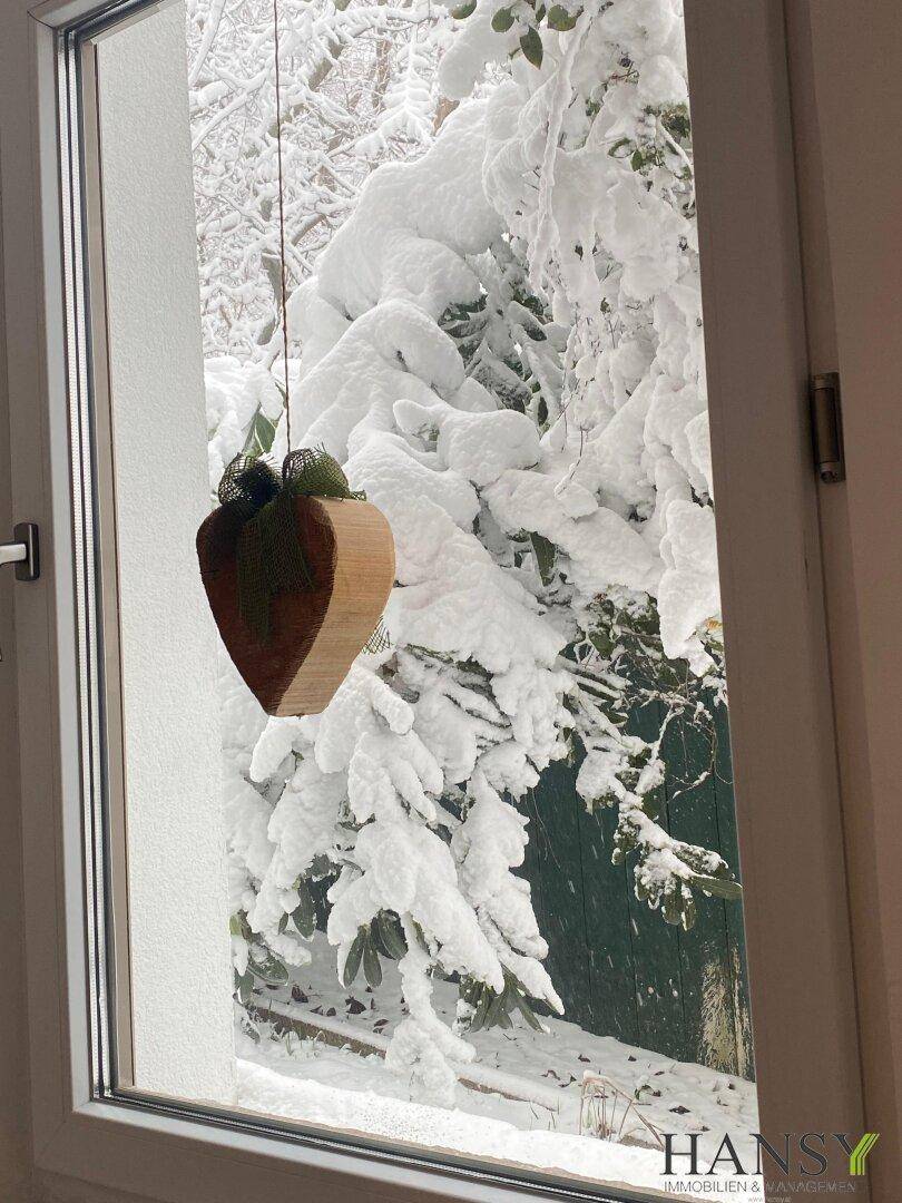 Winterliche Aussicht durch ein Fenster auf schneebedeckte Bäume und Sträucher.