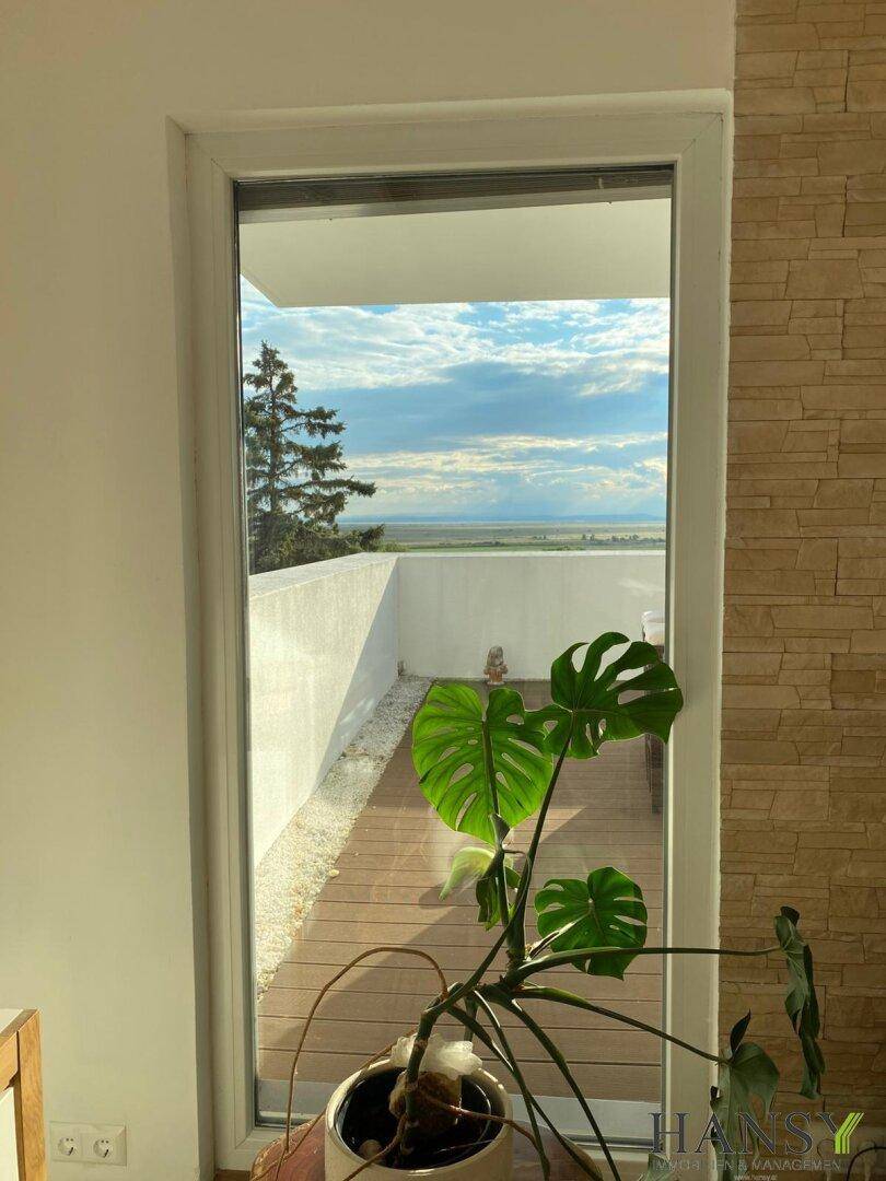 Hohes Fenster mit Blick auf die Terrasse und die weite Landschaft, ergänzt durch eine dekorative Zimmerpflanze.