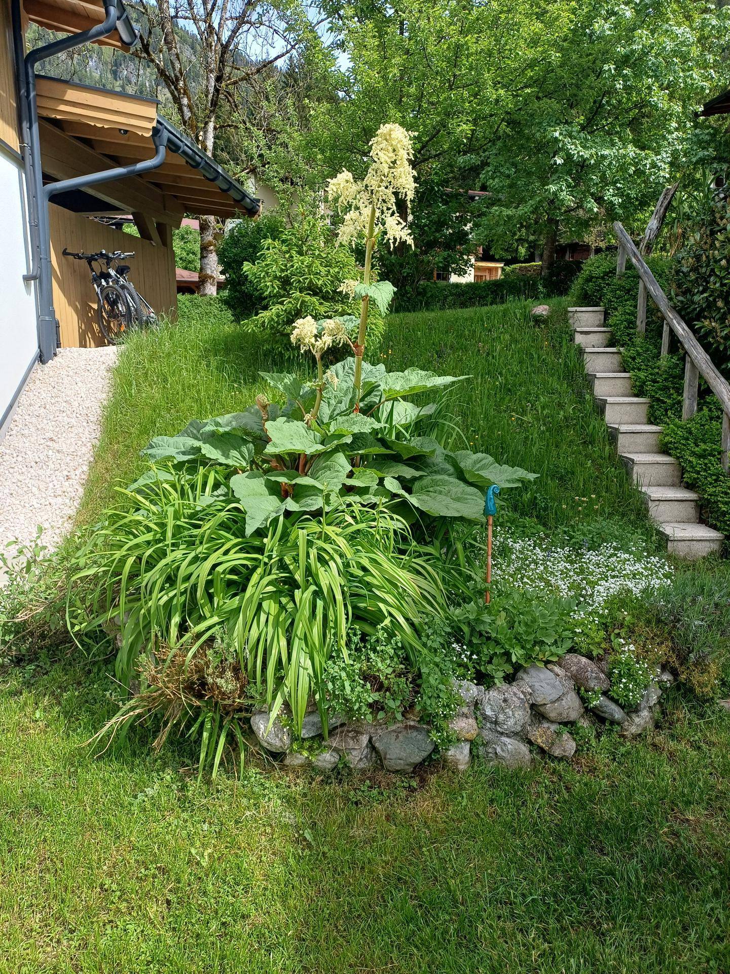 Grüner Gartenbereich mit Blumenbeet, Steinen und einer Treppe, die den Hang hinaufführt.