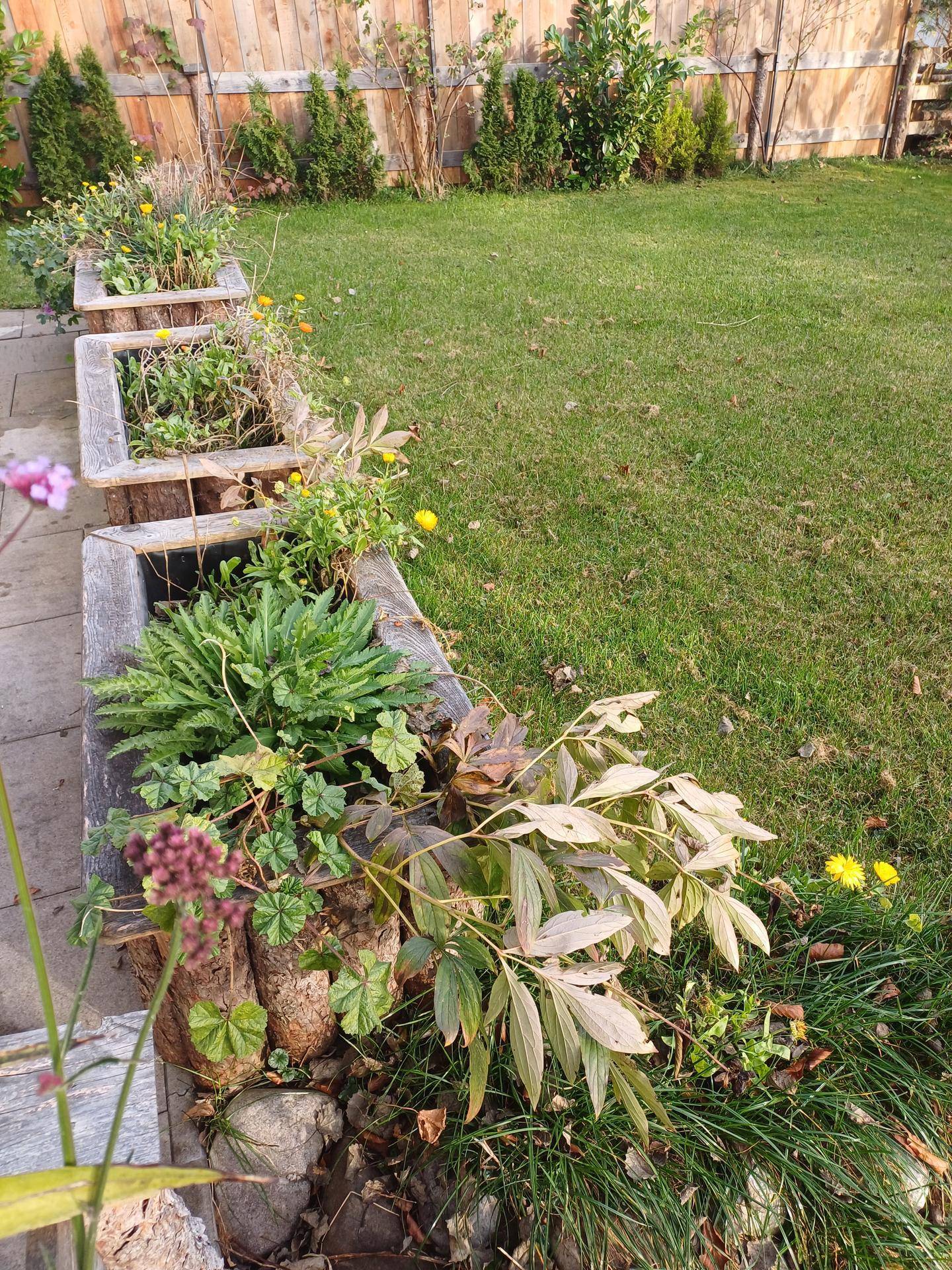 Gepflegter Rasenbereich mit erhöhten Blumenbeeten aus Holzstämmen und verschiedenen Pflanzen.