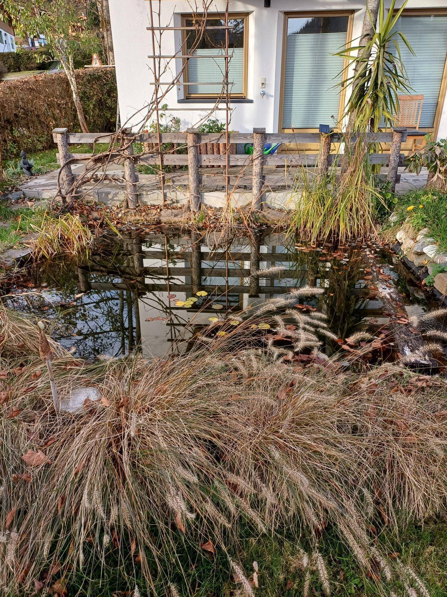 Gartenteich mit Wasserpflanzen und einer Holzumrandung vor der Hausfassade.