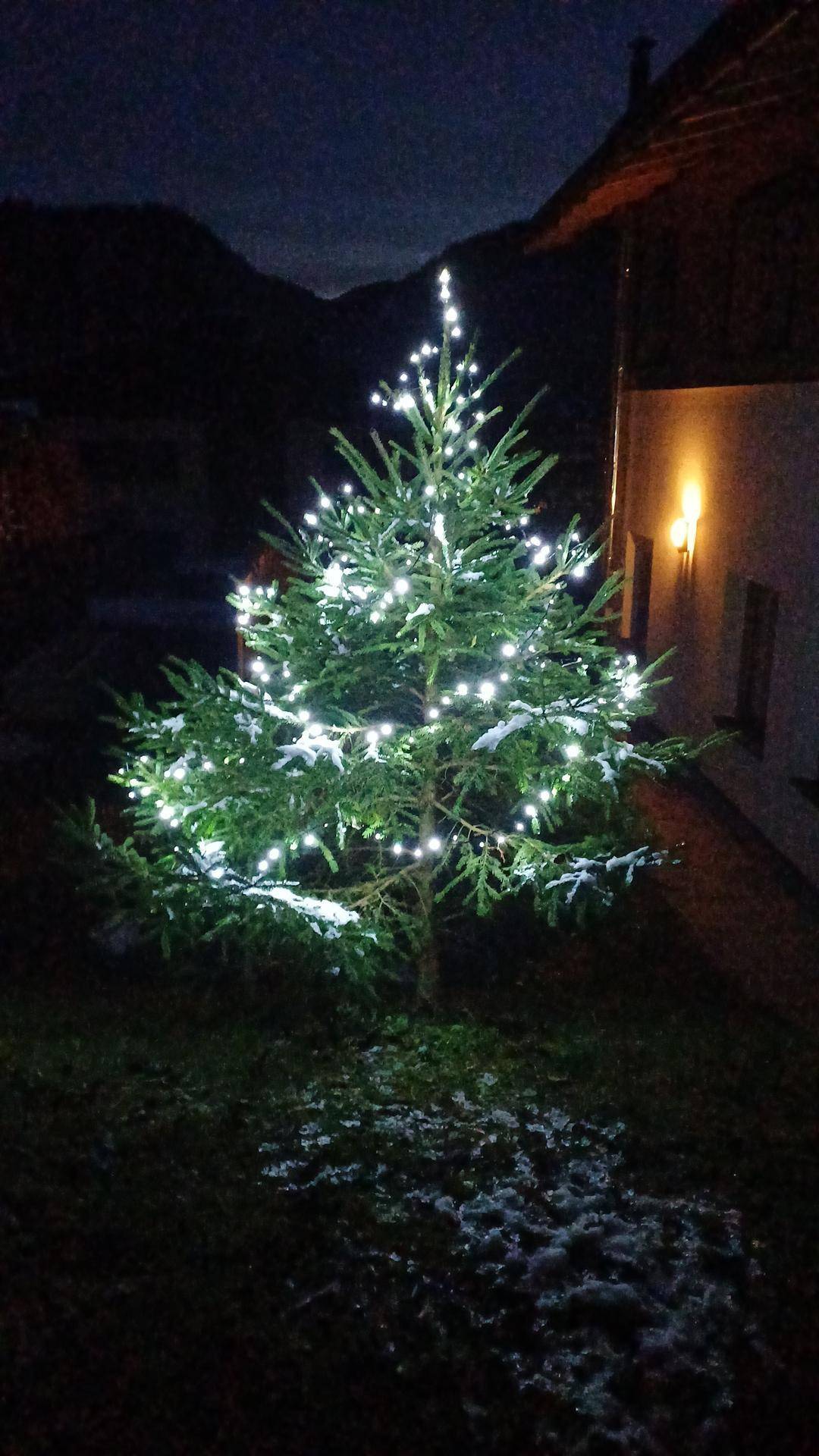 Beleuchteter Weihnachtsbaum im Garten bei Nacht mit Schnee auf dem Boden.