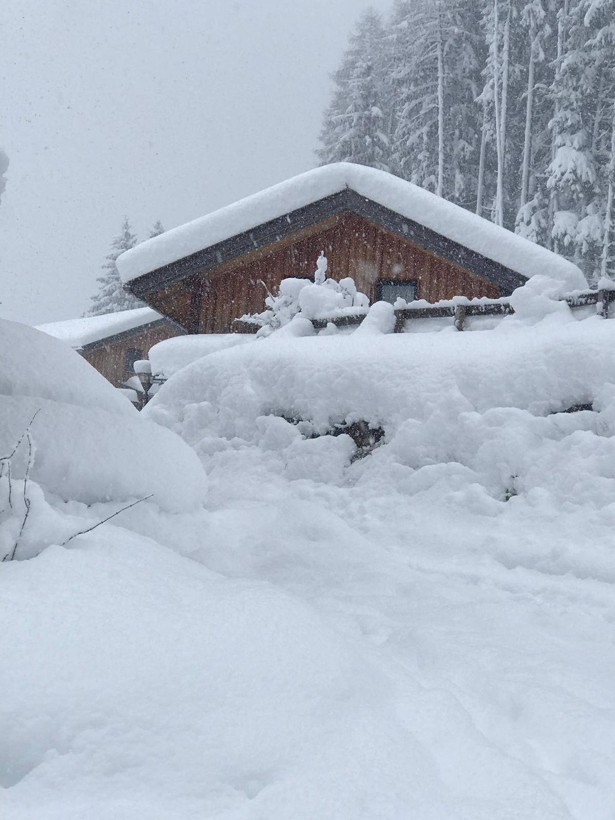 Ein Holzhaus, tief verschneit in einer winterlichen Waldlandschaft.