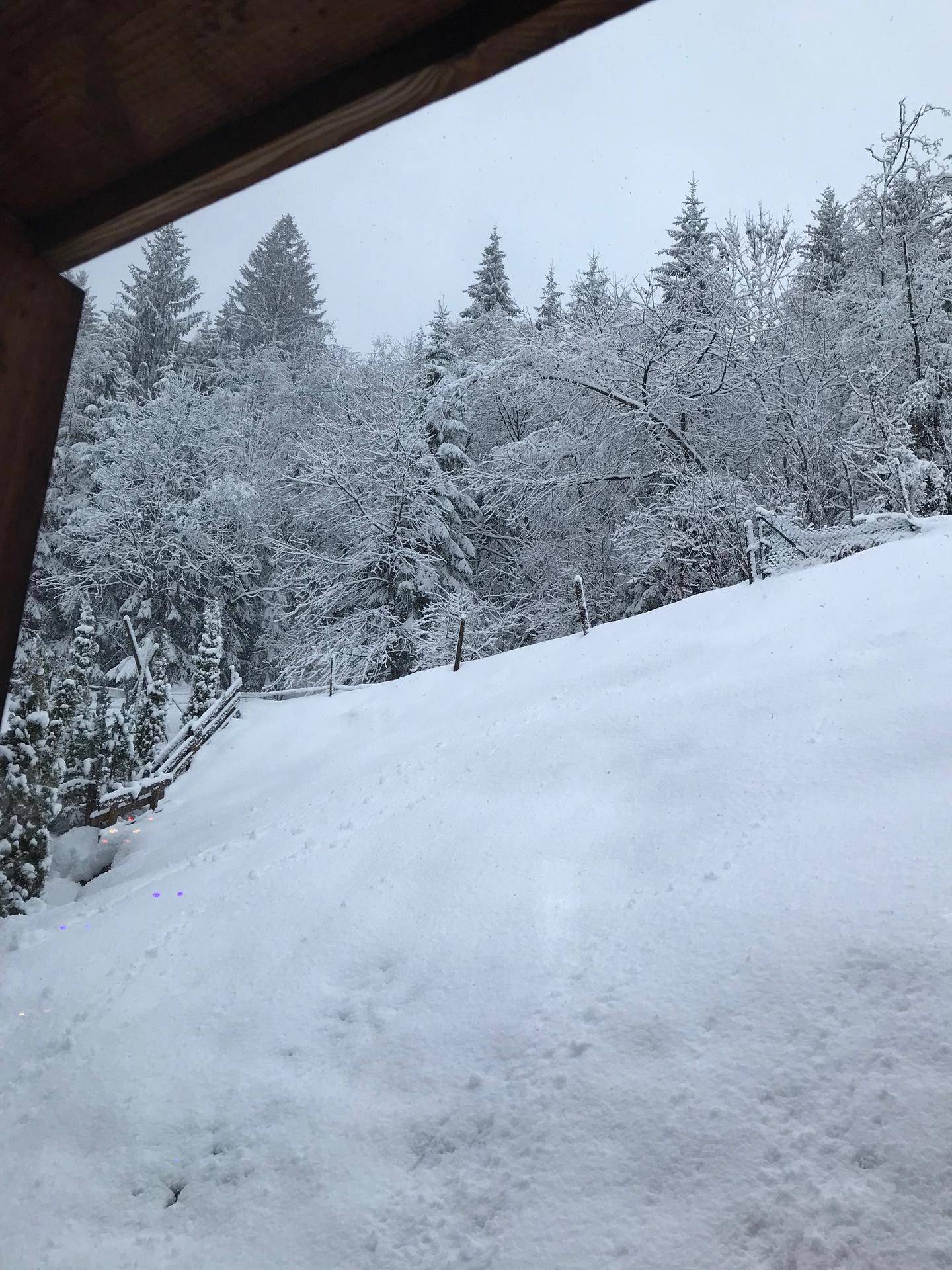 Winterliche Waldlandschaft mit tief verschneiten Bäumen und einem Pfad im Schnee.