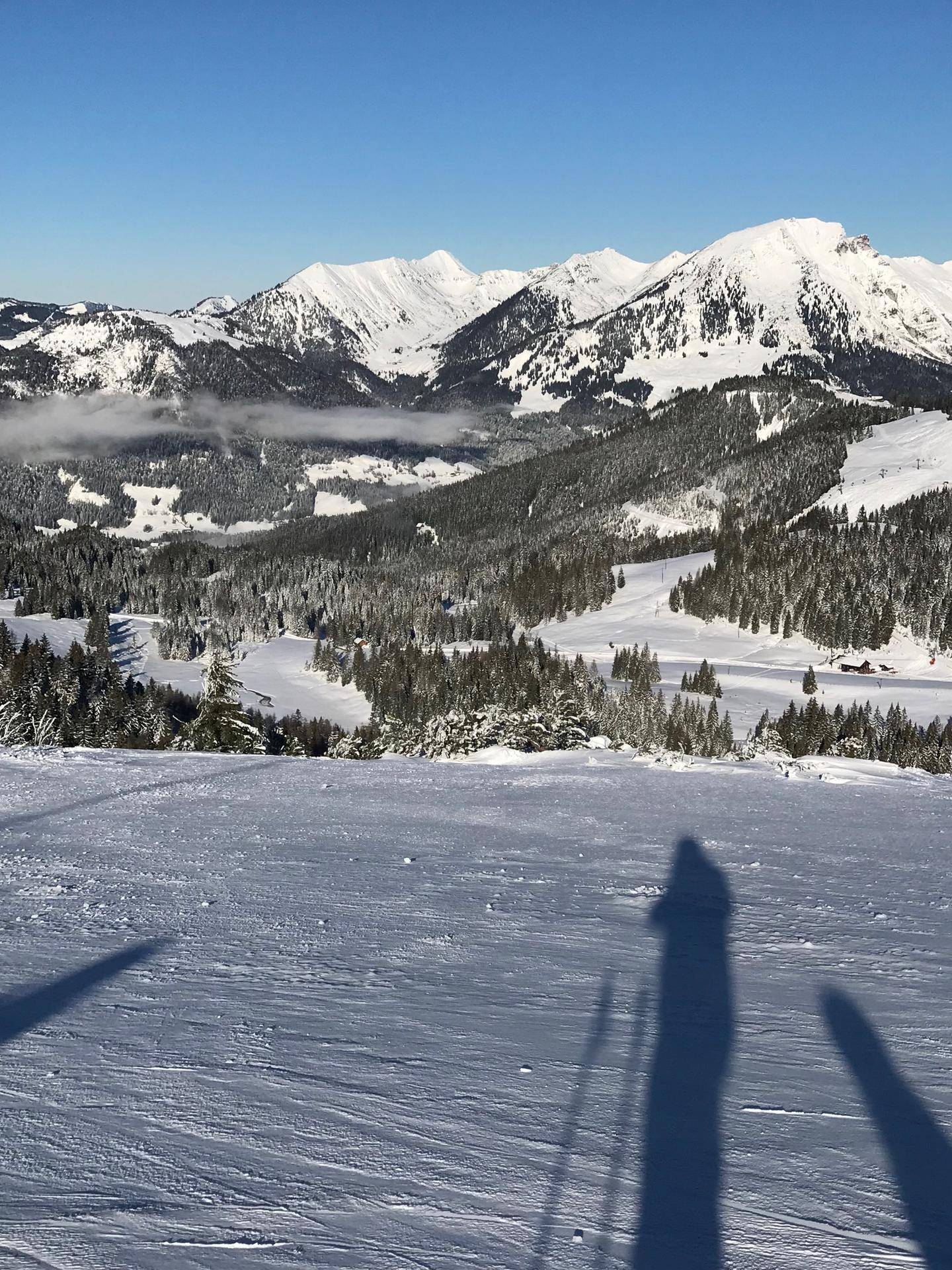 Weitläufige Skipiste mit schneebedeckten Bergen und Wäldern unter klarem Himmel.
