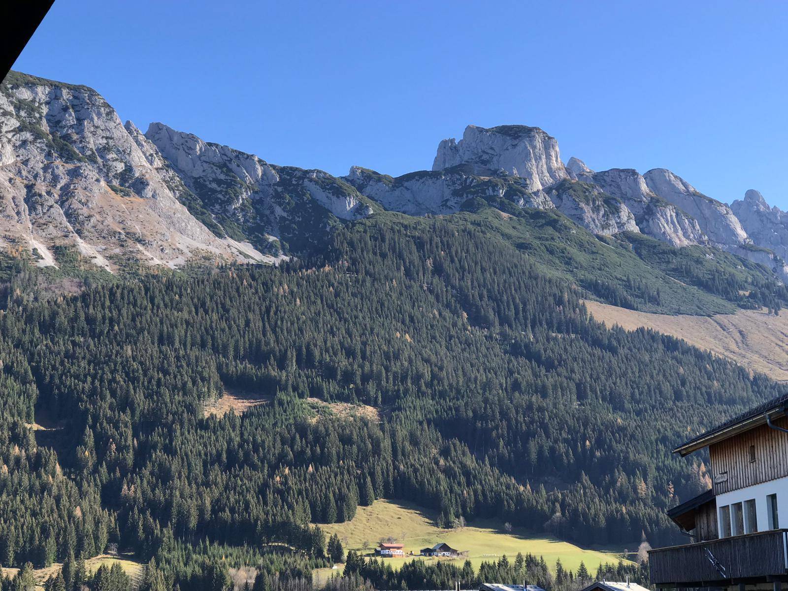 Spektakulärer Blick auf die majestätischen Berge und dichte Wälder unter blauem Himmel.