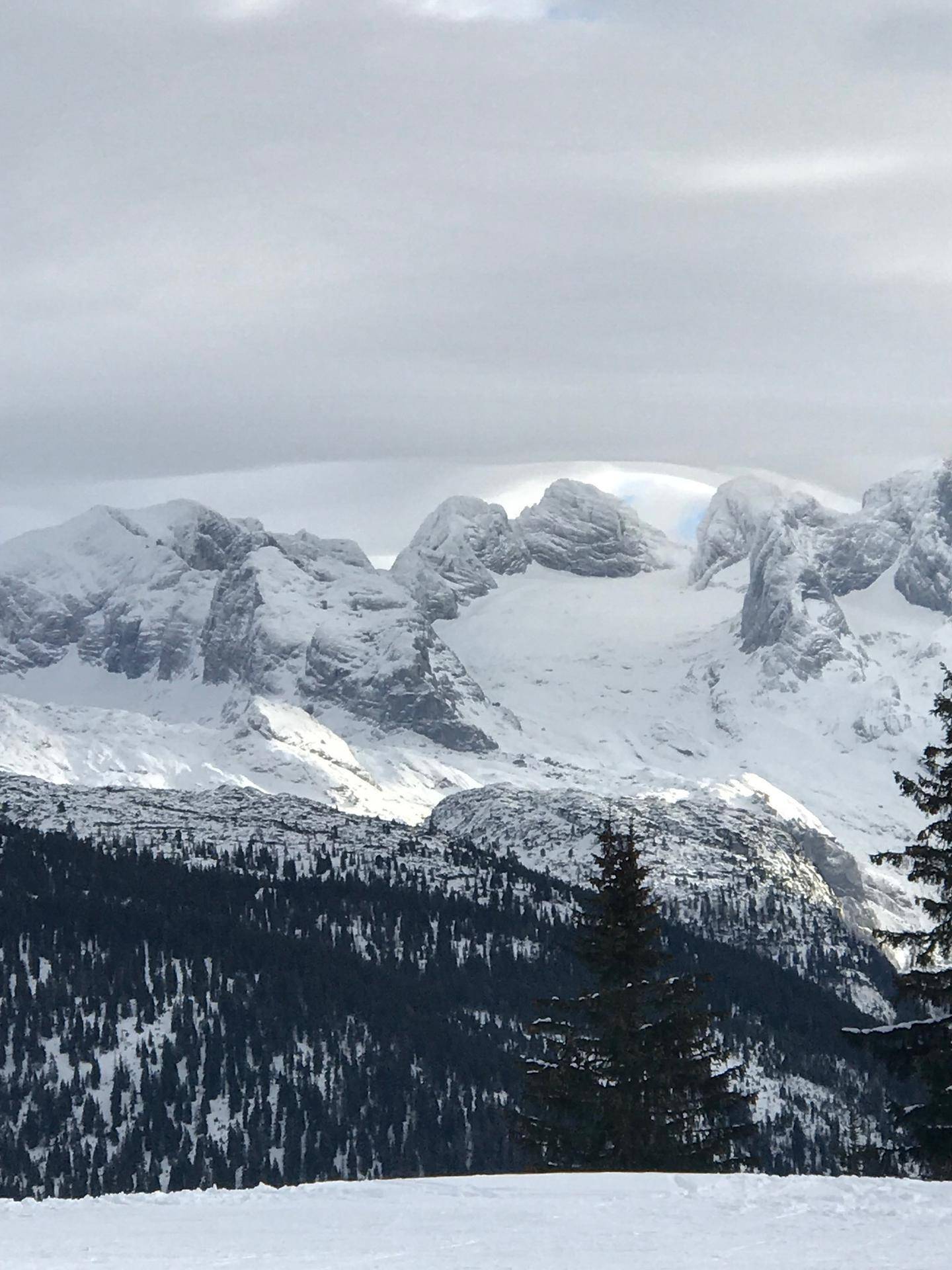 Majestätische, schneebedeckte Berggipfel mit dichten Wäldern im Vordergrund.