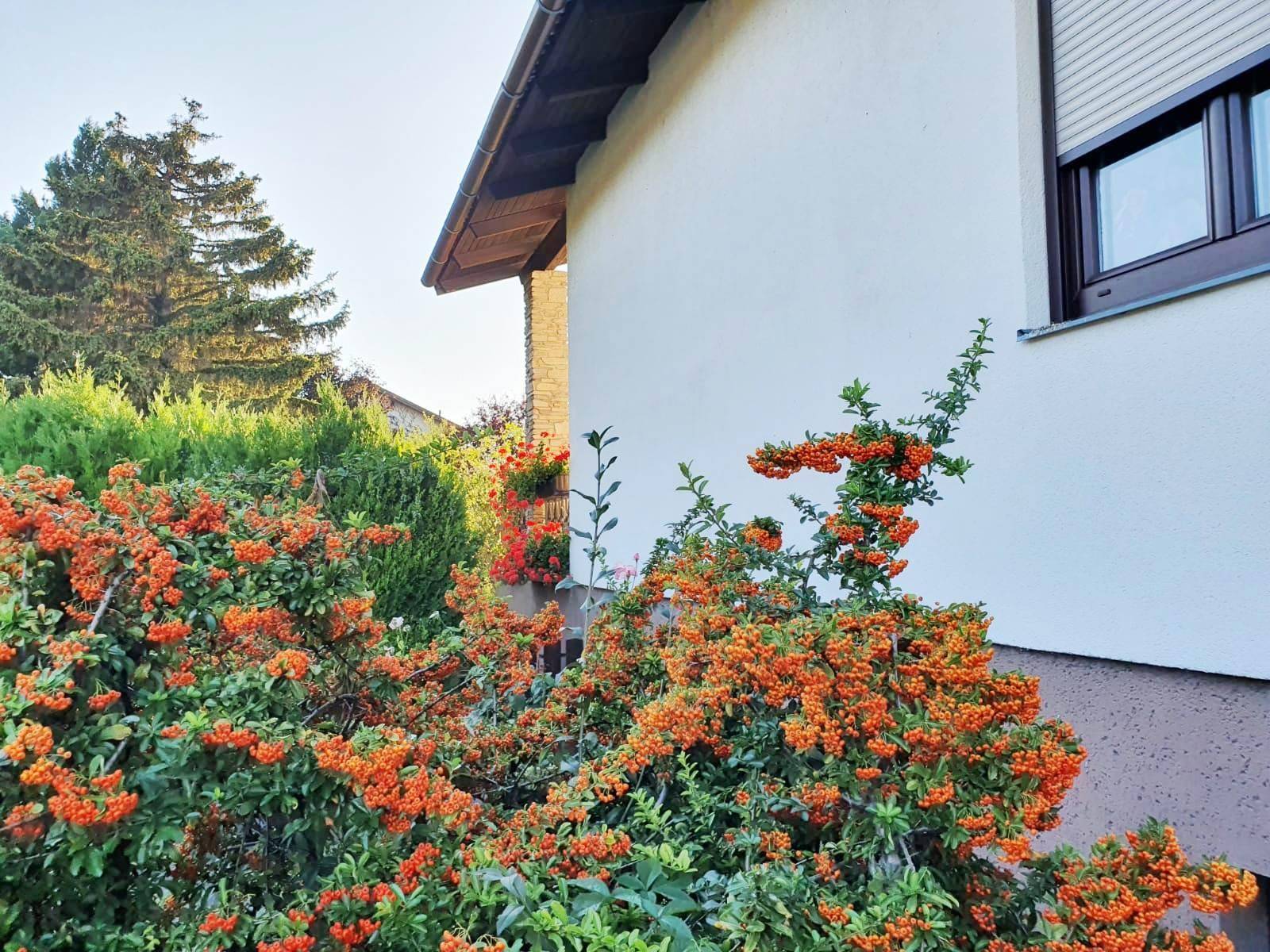 Seitenansicht des Hauses mit weißer Fassade und üppiger Bepflanzung im Vorgarten.
