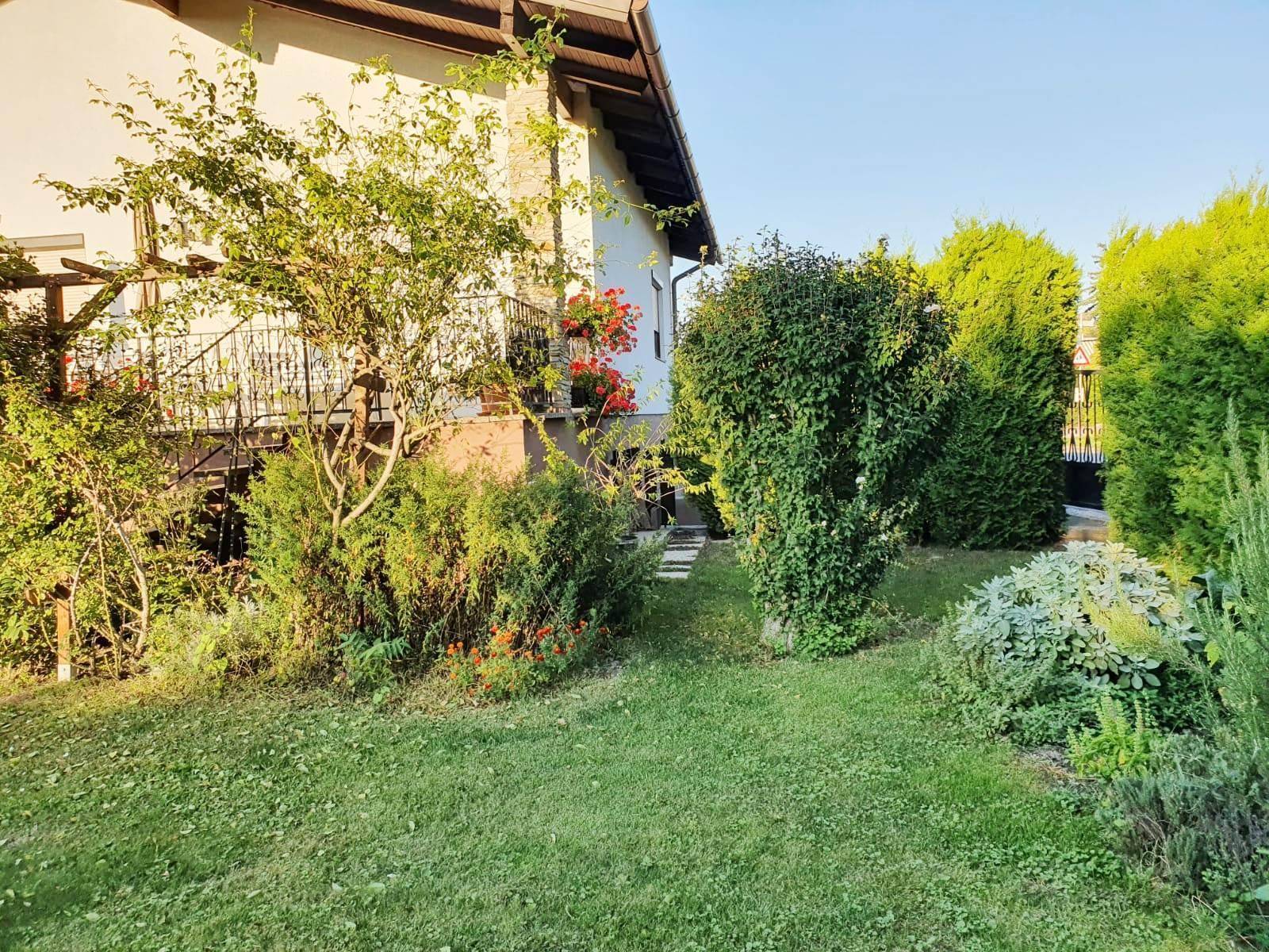 Gepflegter Gartenbereich neben dem Haus mit viel Grün, Sträuchern und einem kleinen Baum.