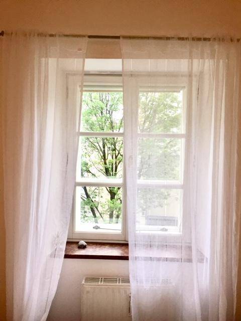 Fenster mit weißen Vorhängen bietet Blick auf grüne Bäume im Außenbereich.