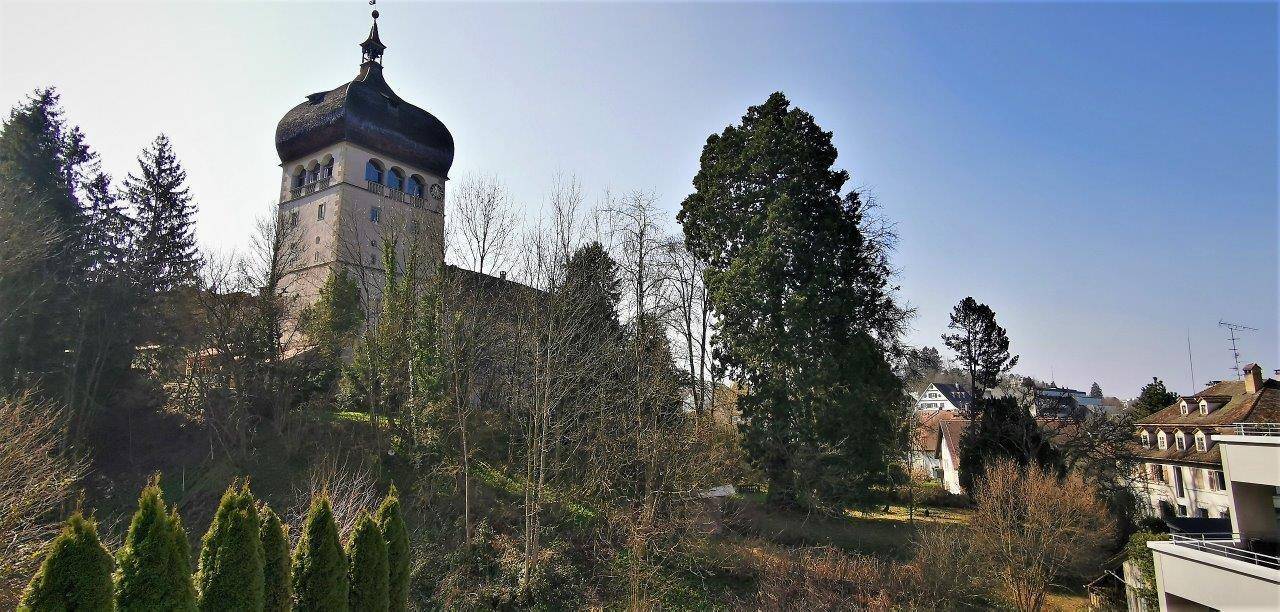 Panoramablick auf einen historischen Kirchturm, umgeben von Bäumen und Wohngebäuden.