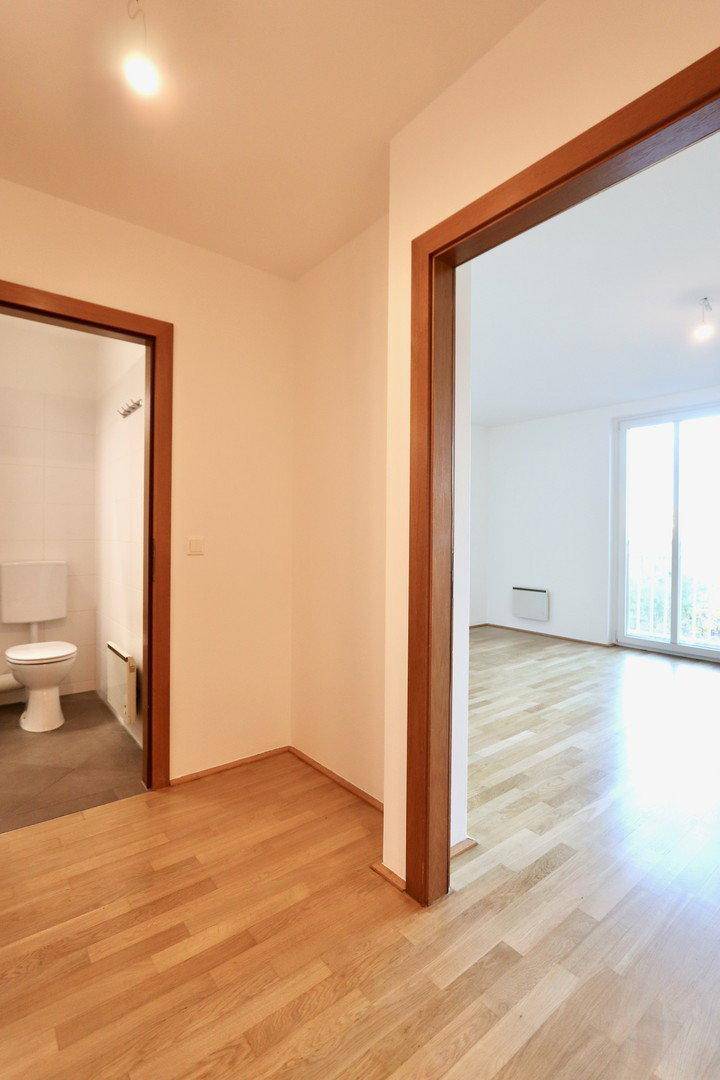 Heller Flur mit Holztürrahmen, der zu einem Badezimmer und dem Hauptwohnraum führt.