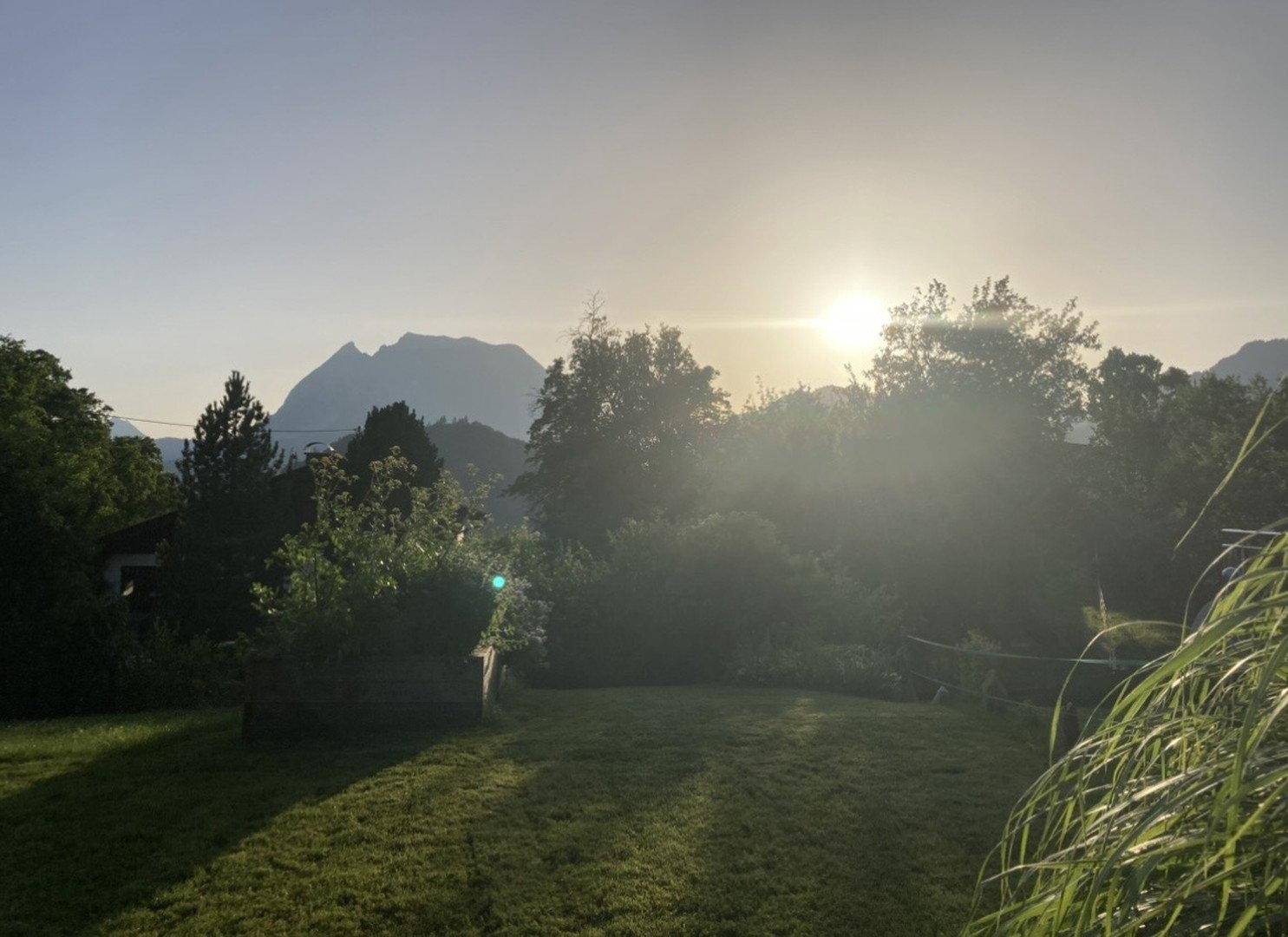 Sonnenaufgang über dem Garten mit Bergblick und hohen Gräsern im Vordergrund.