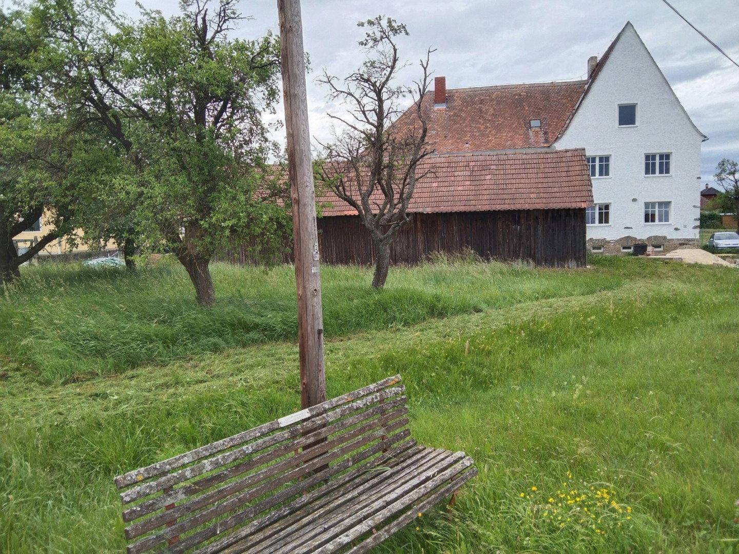 Obstbäume