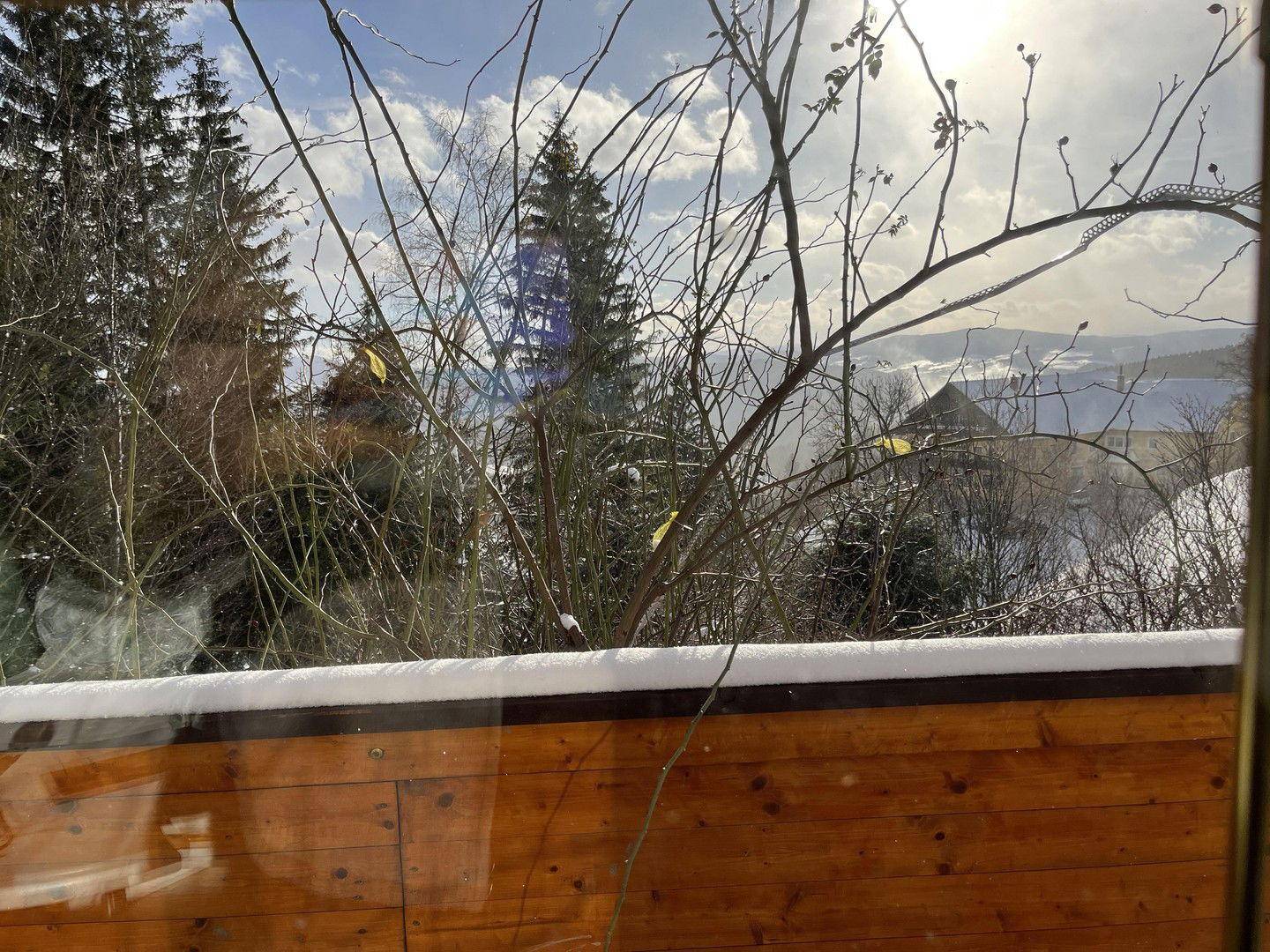 Blick aus dem Fenster auf verschneite Bäume und die winterliche Landschaft.