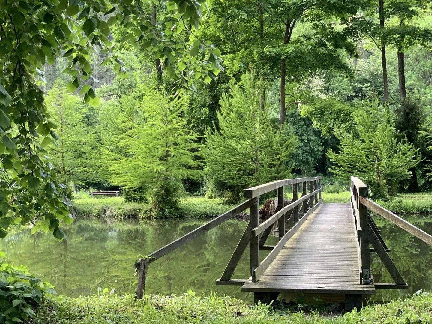 Brücke beim Teich
