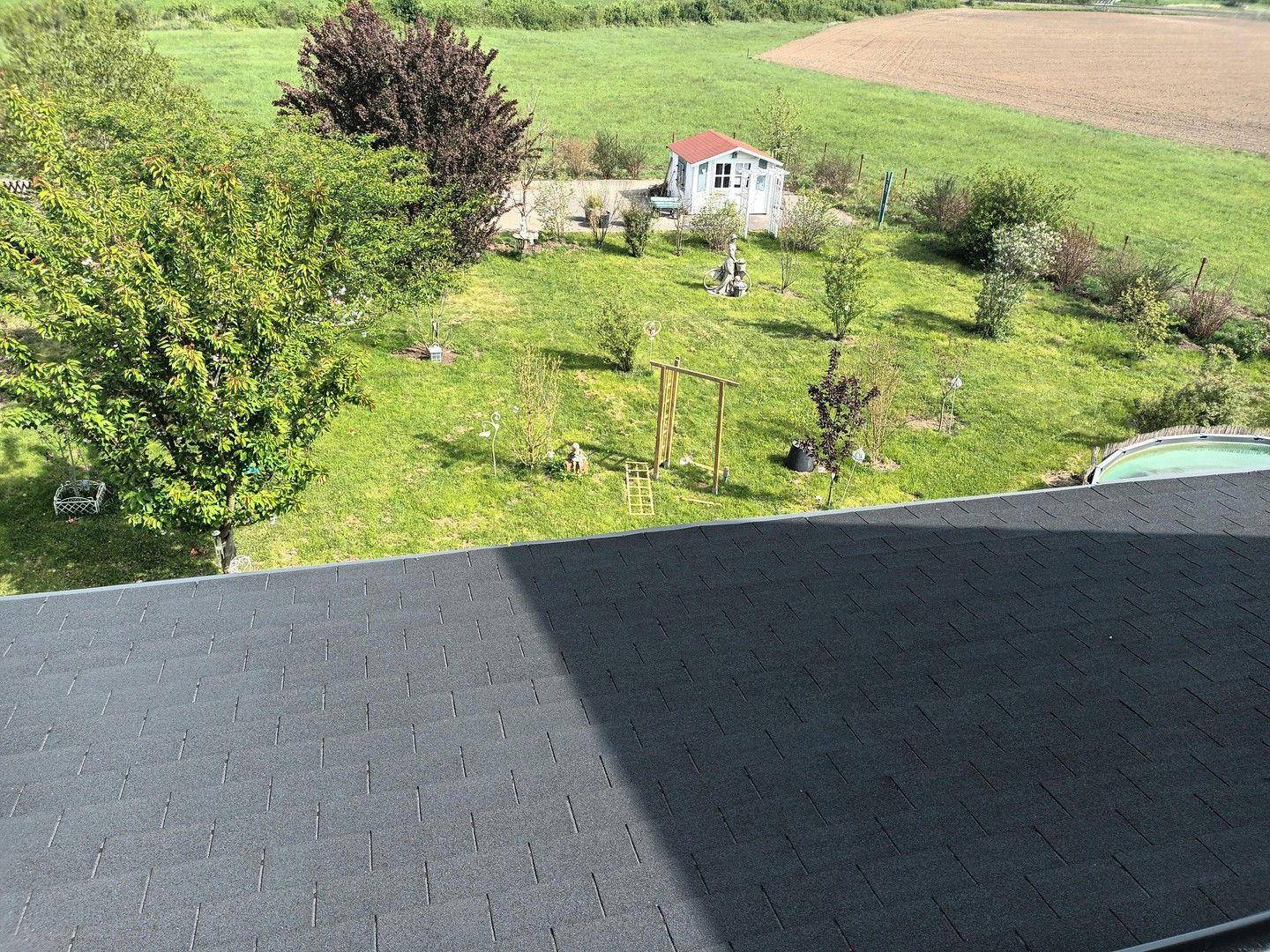 Blick von oben auf einen grünen Garten mit Bäumen, einem Gartenhaus und einem kleinen Pool.