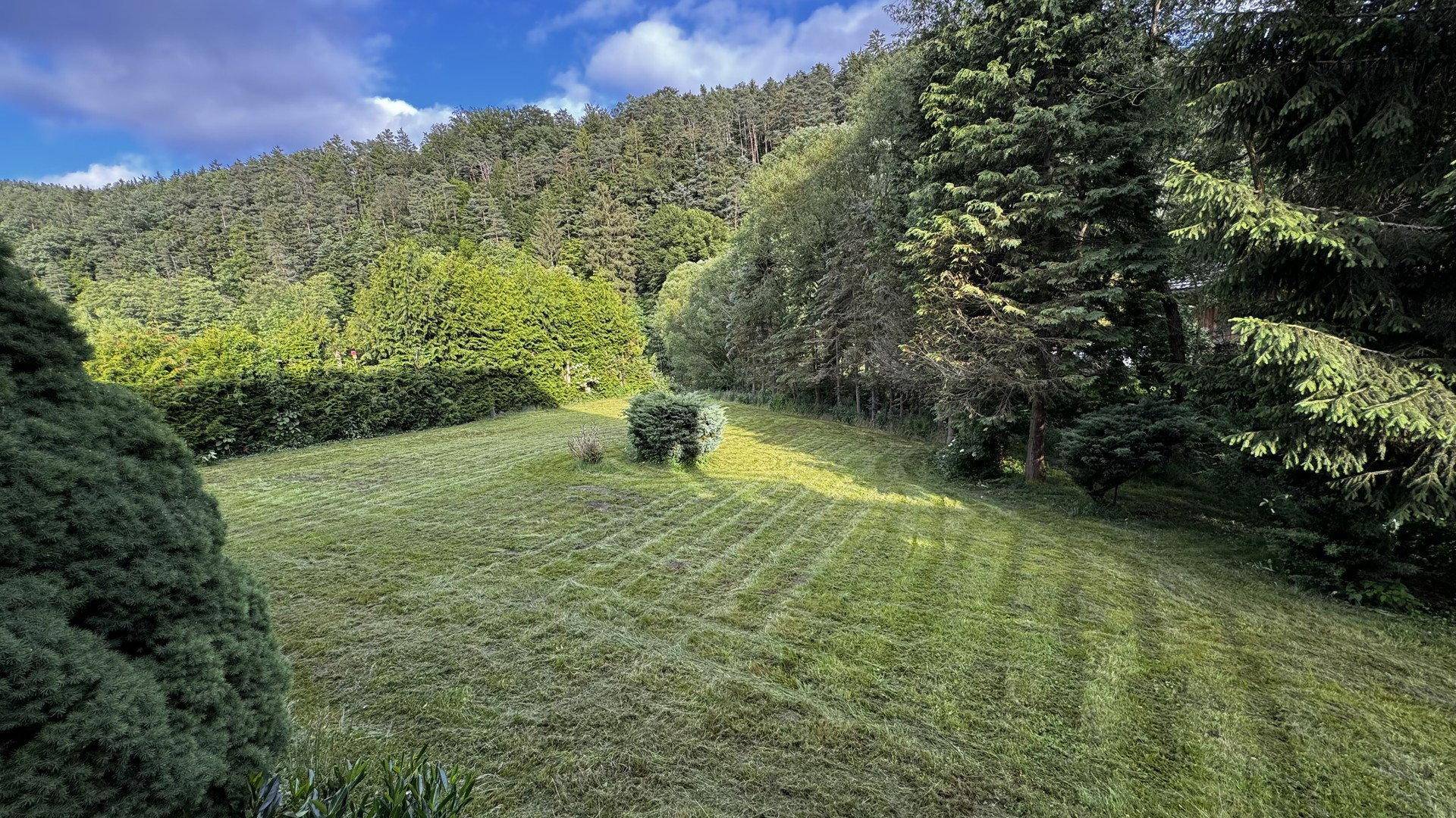 Großer, gepflegter Garten mit Rasenfläche und umgebenden Bäumen und Hügeln.