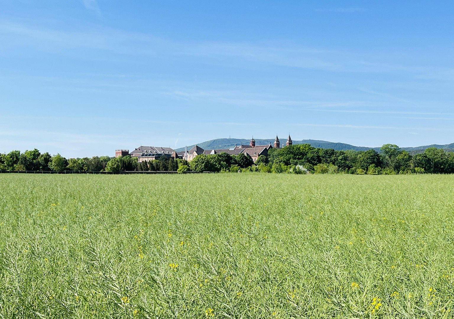 Landschaft vor der Haustüre