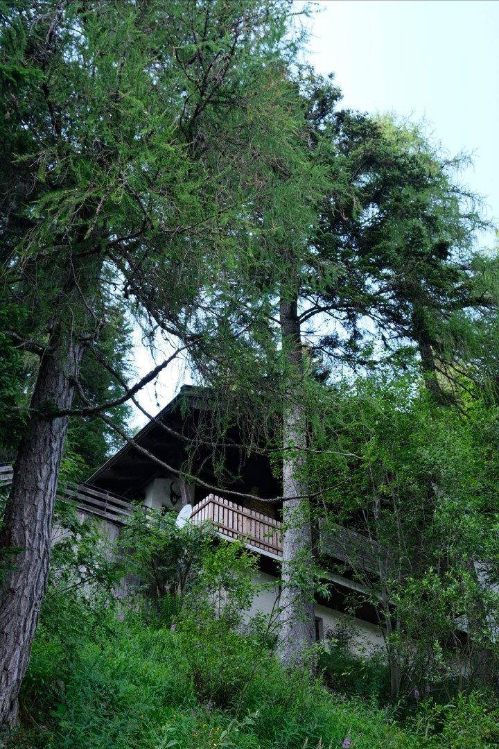 Hausfassade, umgeben von hohen Bäumen und dichter Vegetation, von unten gesehen.