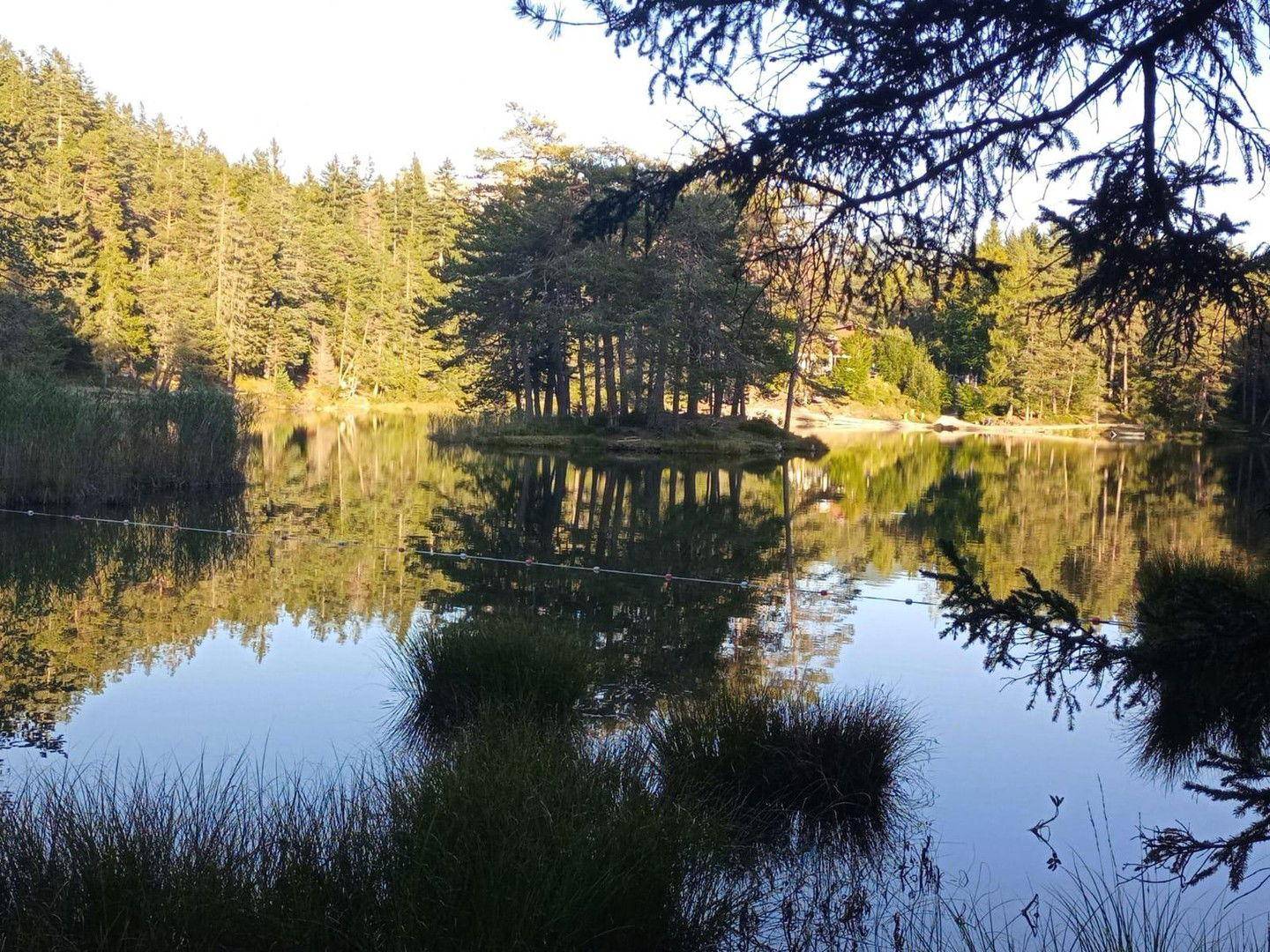 Insel im See