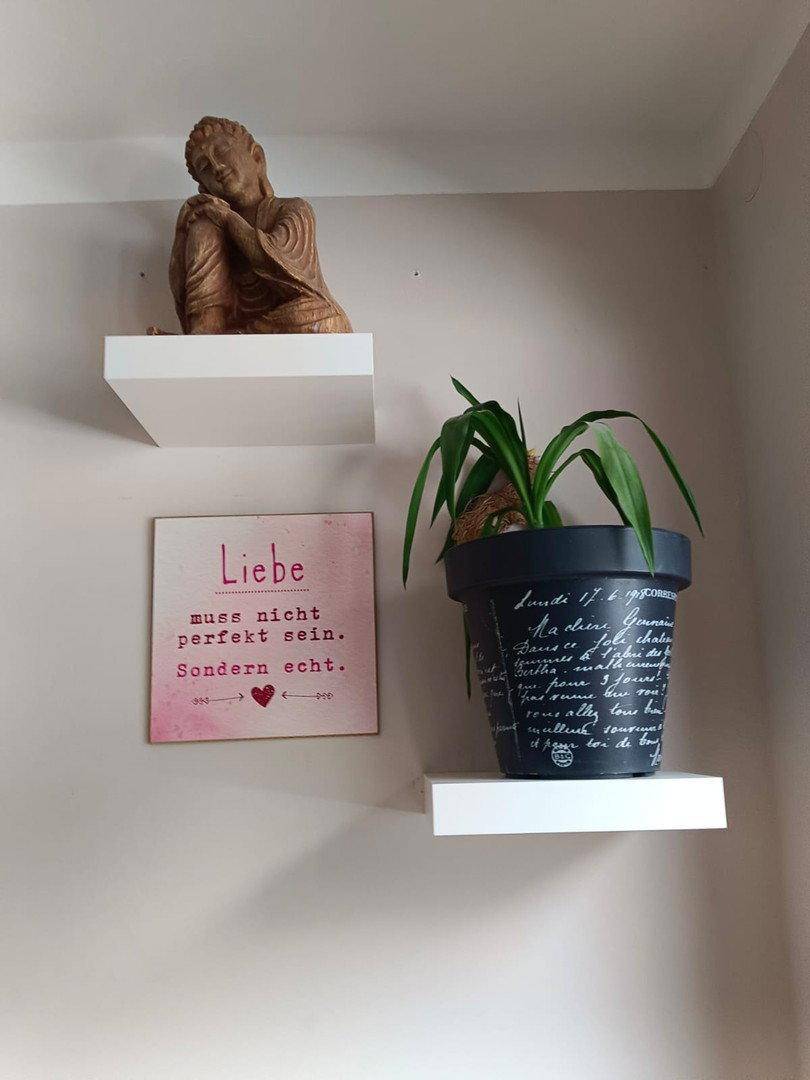 Dekorative Wandregale mit einer Pflanze und einem inspirierenden Spruch an einer hellen Wand.