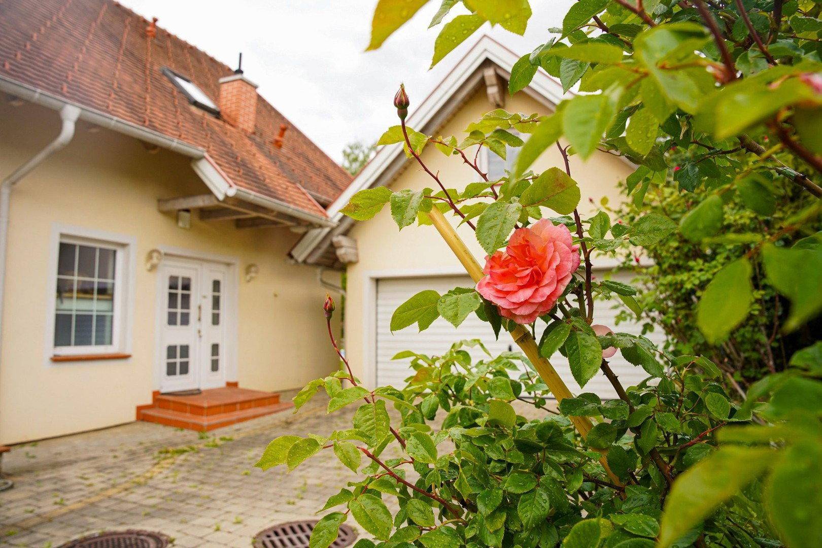 Eingangsbereich des Hauses mit Garage und einer blühenden Rose im Vordergrund auf gepflastertem Hof.