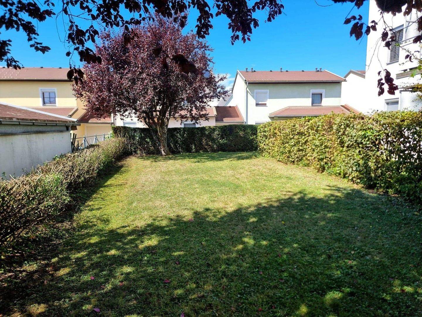 Gemeinschaftsgarten