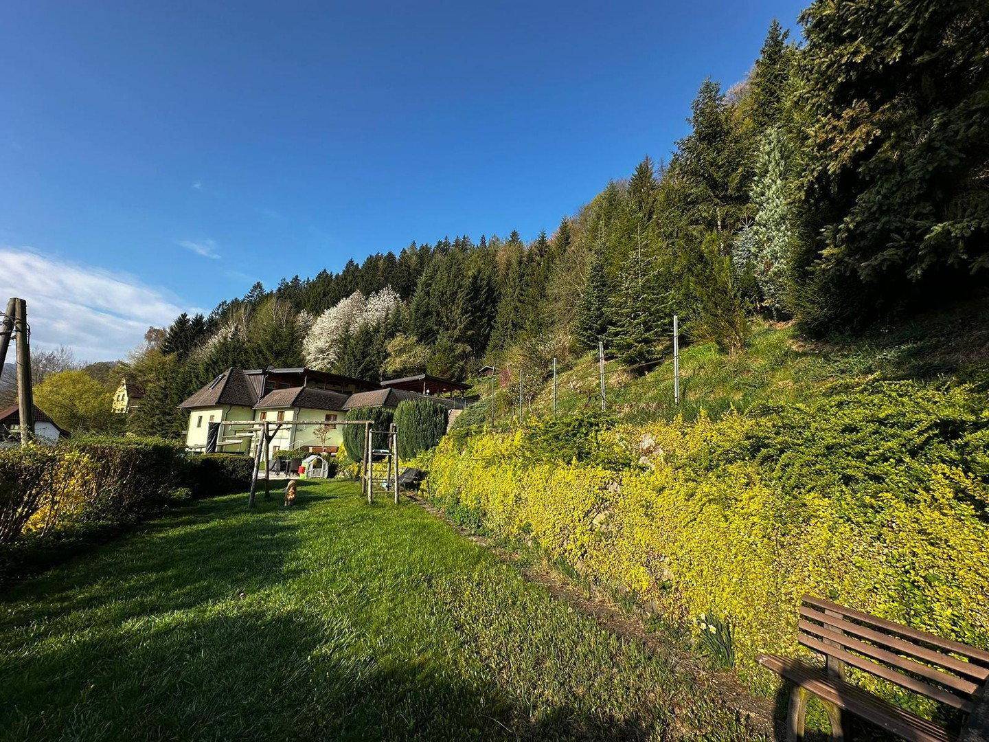 Weitläufiger Garten mit Schaukel und viel Grünfläche, umgeben von Bäumen und Natur.