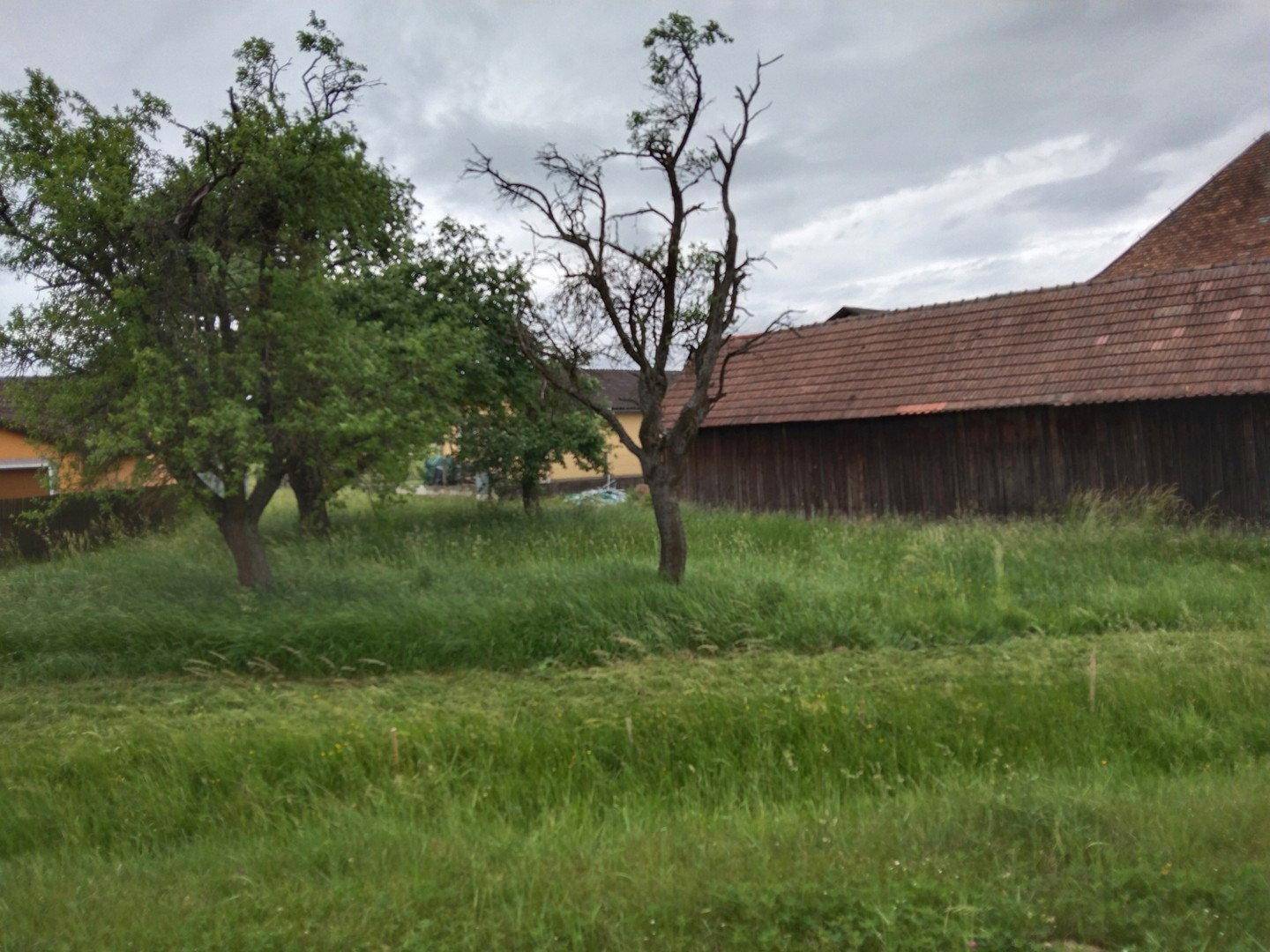 Obstgarten