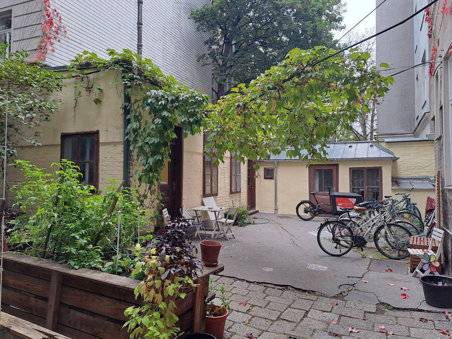 Grüner Innenhof mit Sitzgelegenheiten, Pflanzen und Fahrrädern, umgeben von Gebäuden.