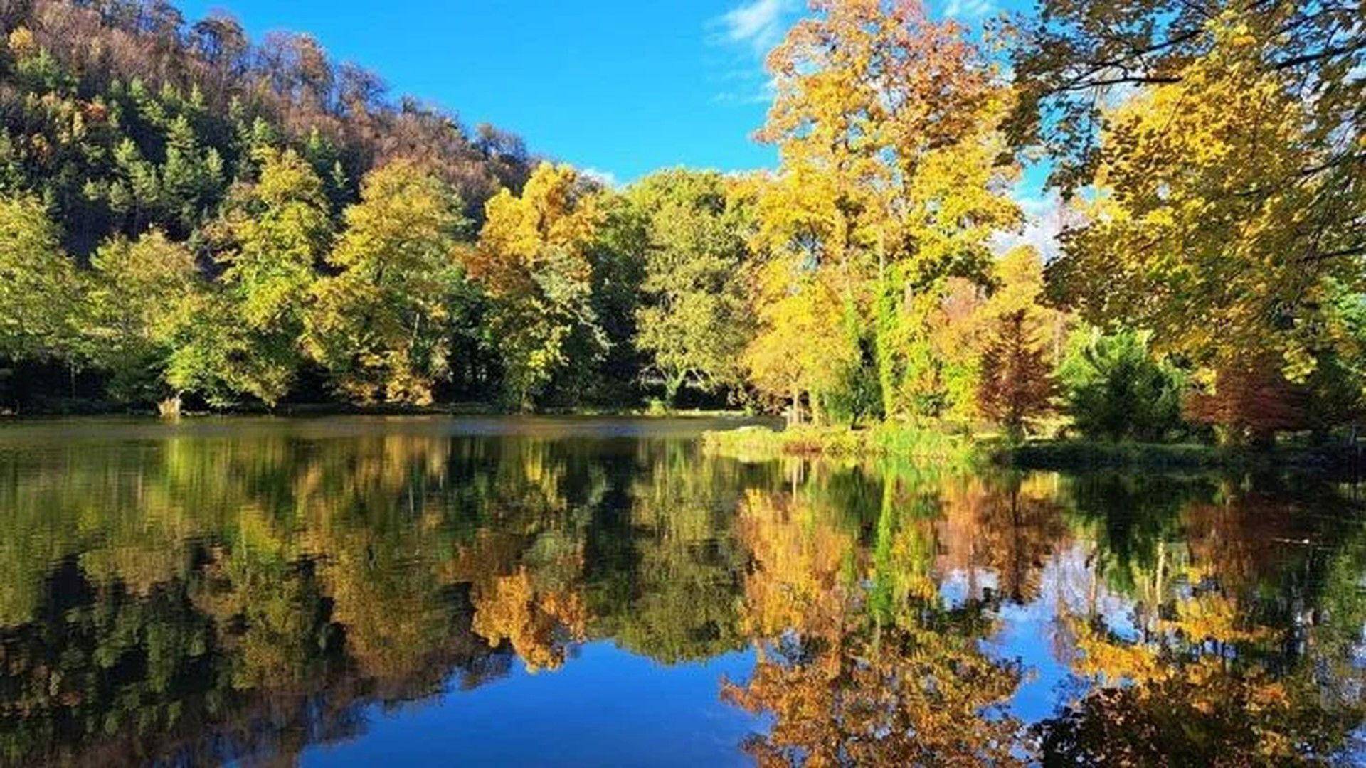 Teich