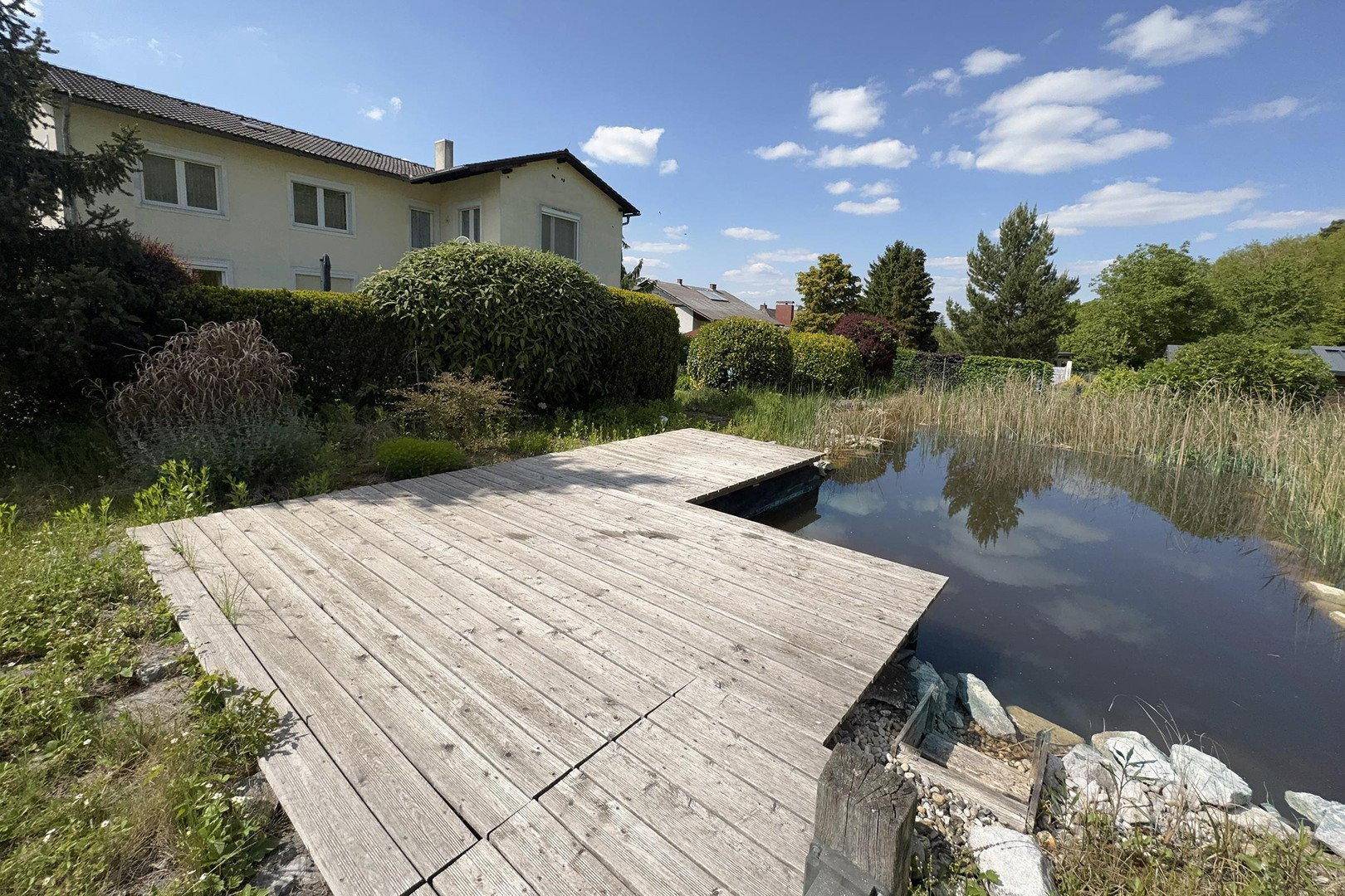 Natürlicher Teich mit Holzsteg und üppiger Vegetation im Gartenbereich.