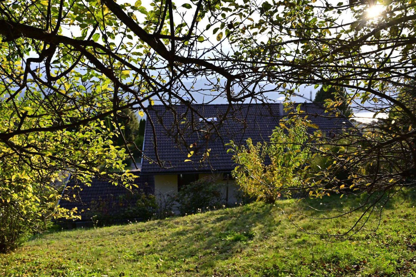 Blick aus Hintergarten
