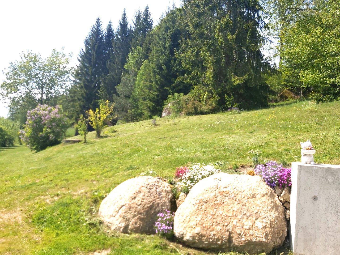 Waldblick
