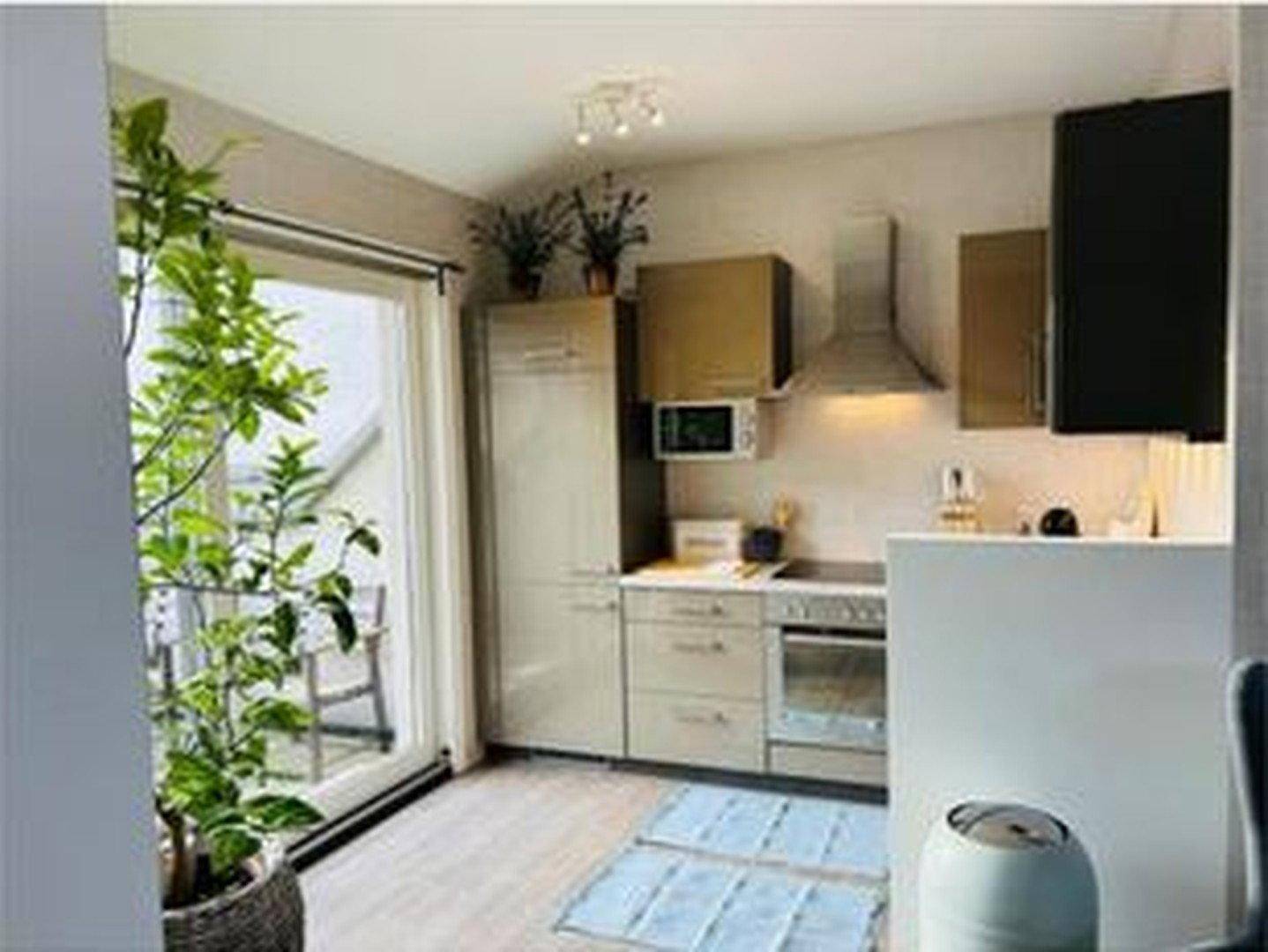 Helle Küche mit Zugang zu einem Balkon, ausgestattet mit modernen Geräten und Pflanzen.