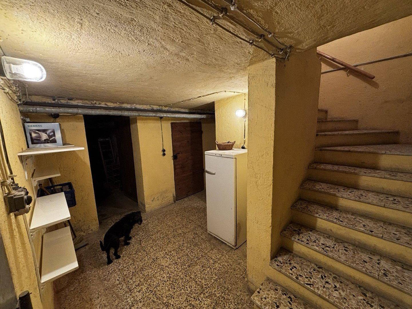 Kellerbereich mit Treppe, Kühlschrank und Terrazzoboden.